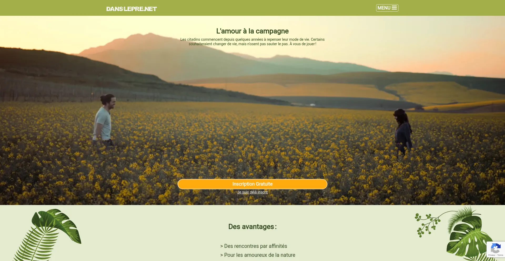 Website screenshot of Danslepre.net