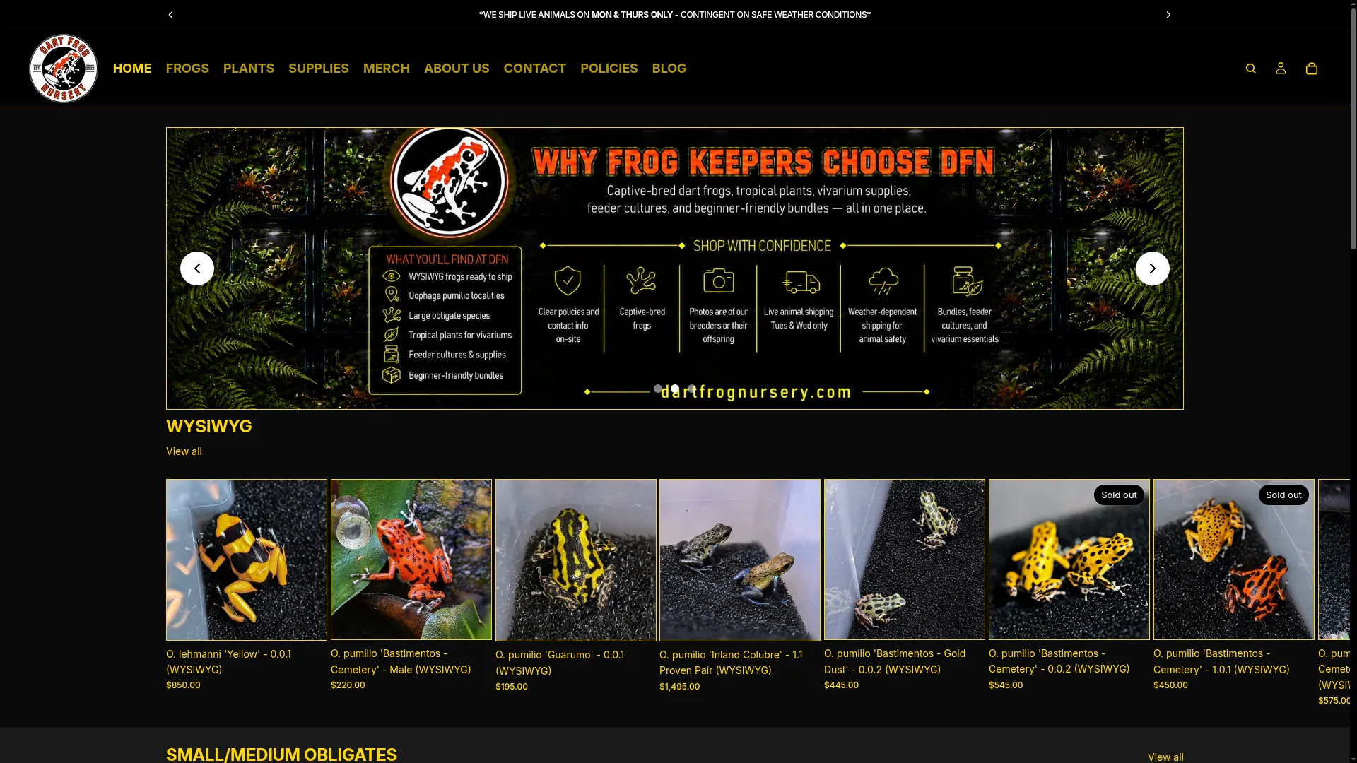 Dartfrognursery.com