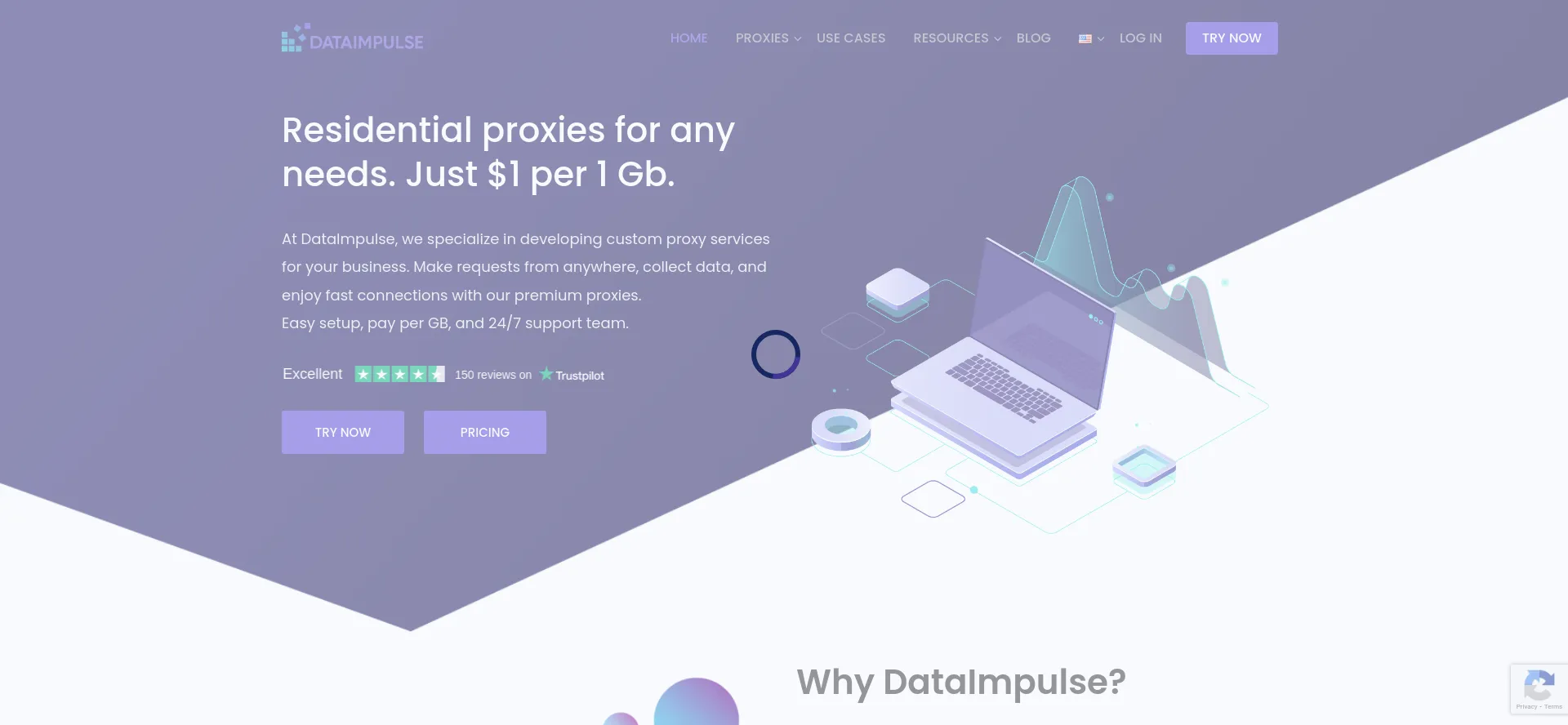 Website screenshot of Dataimpulse.com
