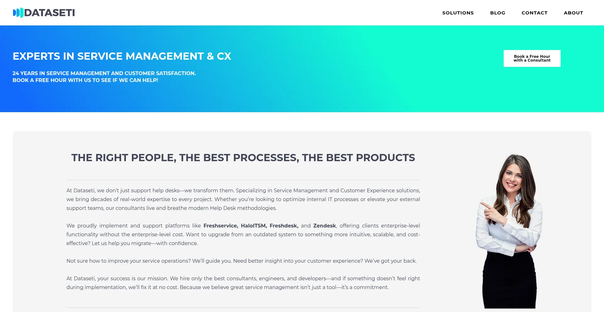 Website screenshot of Dataseti.com