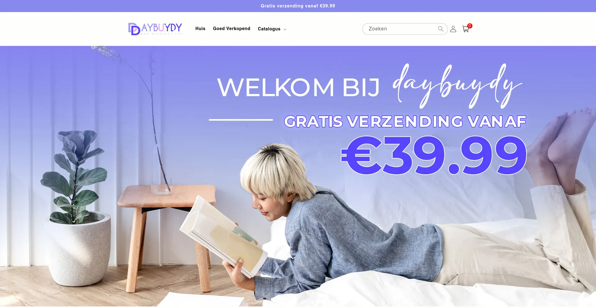 Website screenshot of Daybuydy.com