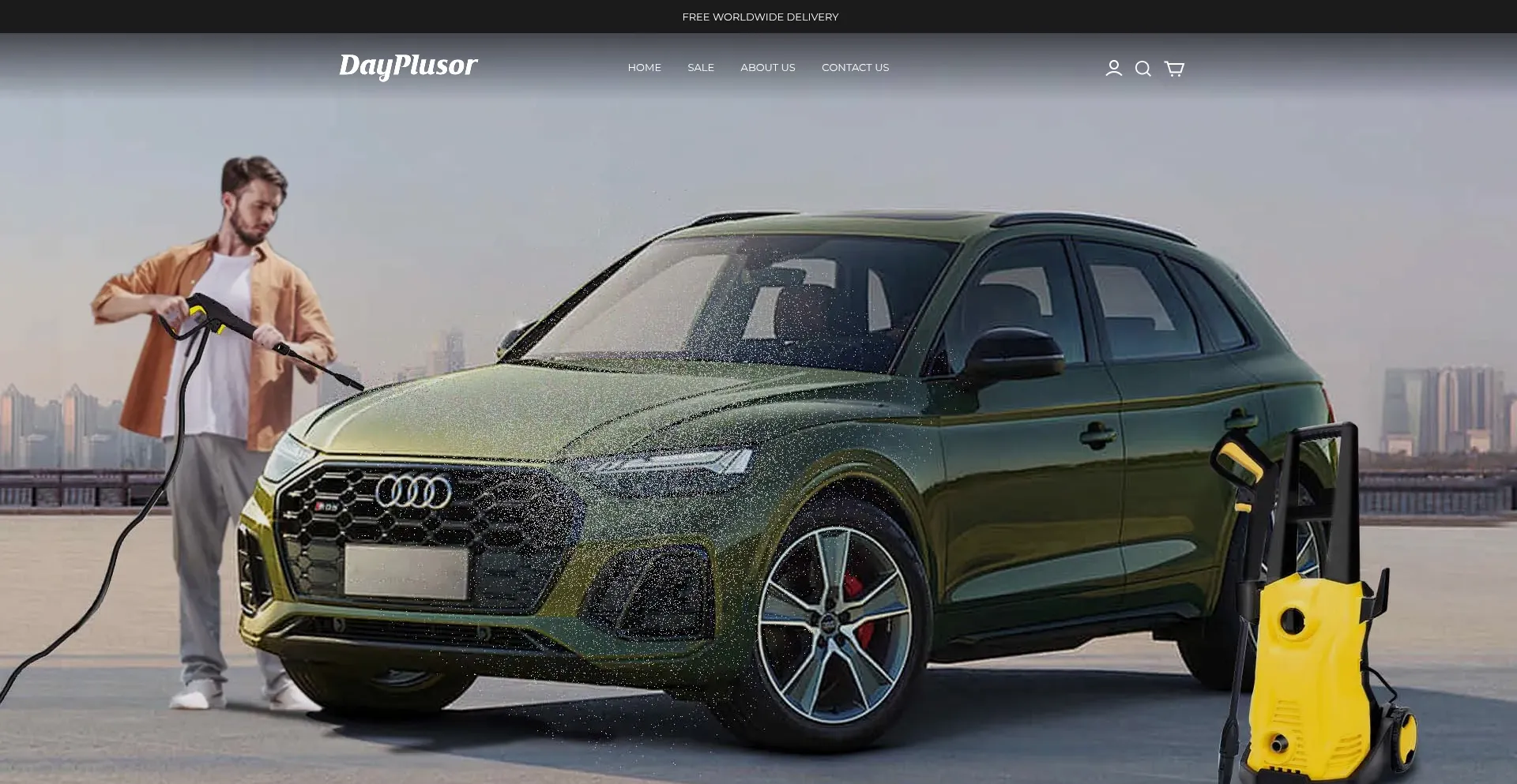 Website screenshot of Dayplusor.com
