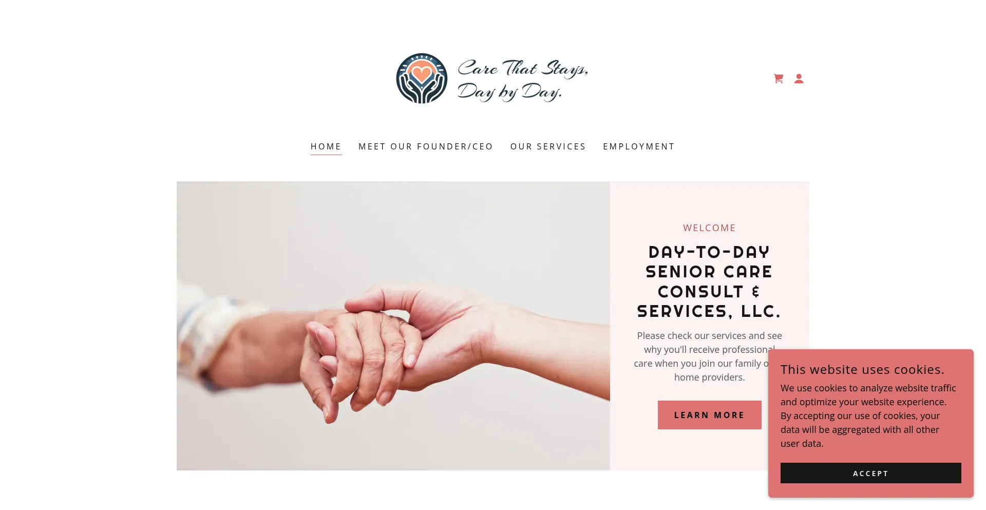 Website screenshot of Daytodayseniorcareconsultandservices.com