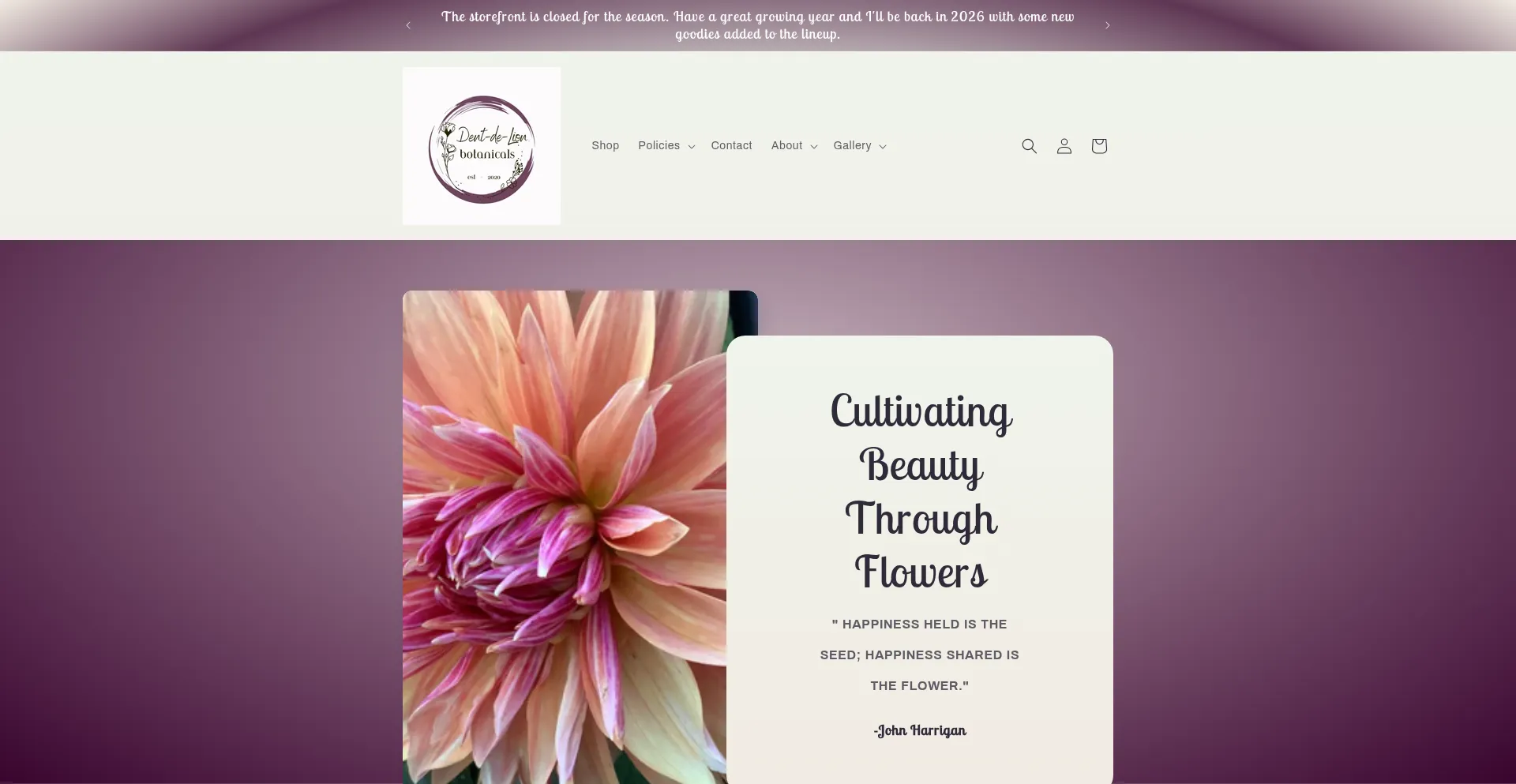 Website screenshot of Dentdelionbotanicals.com
