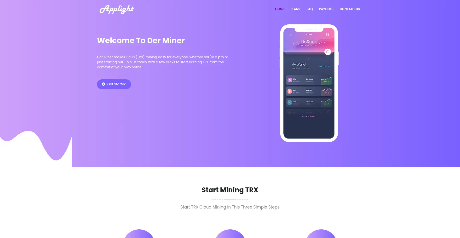 Website screenshot of Derminer.online