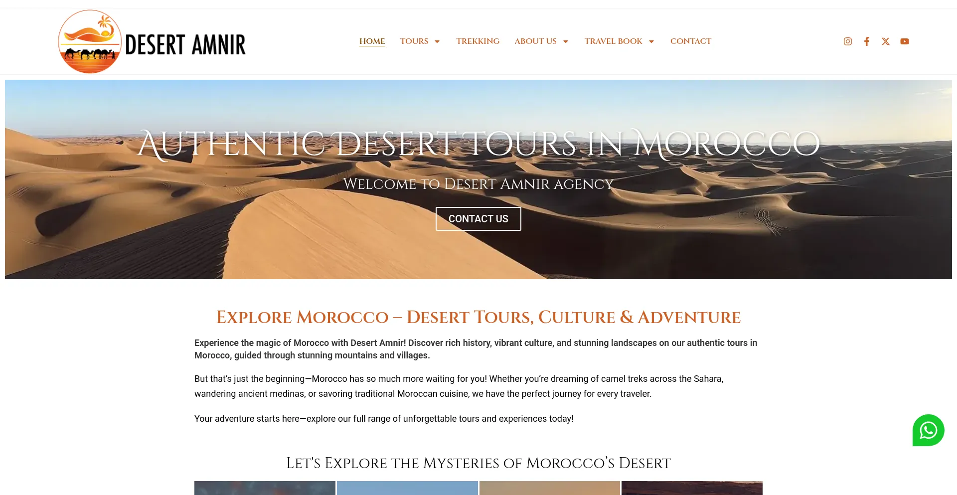 Website screenshot of Desertamnir.com