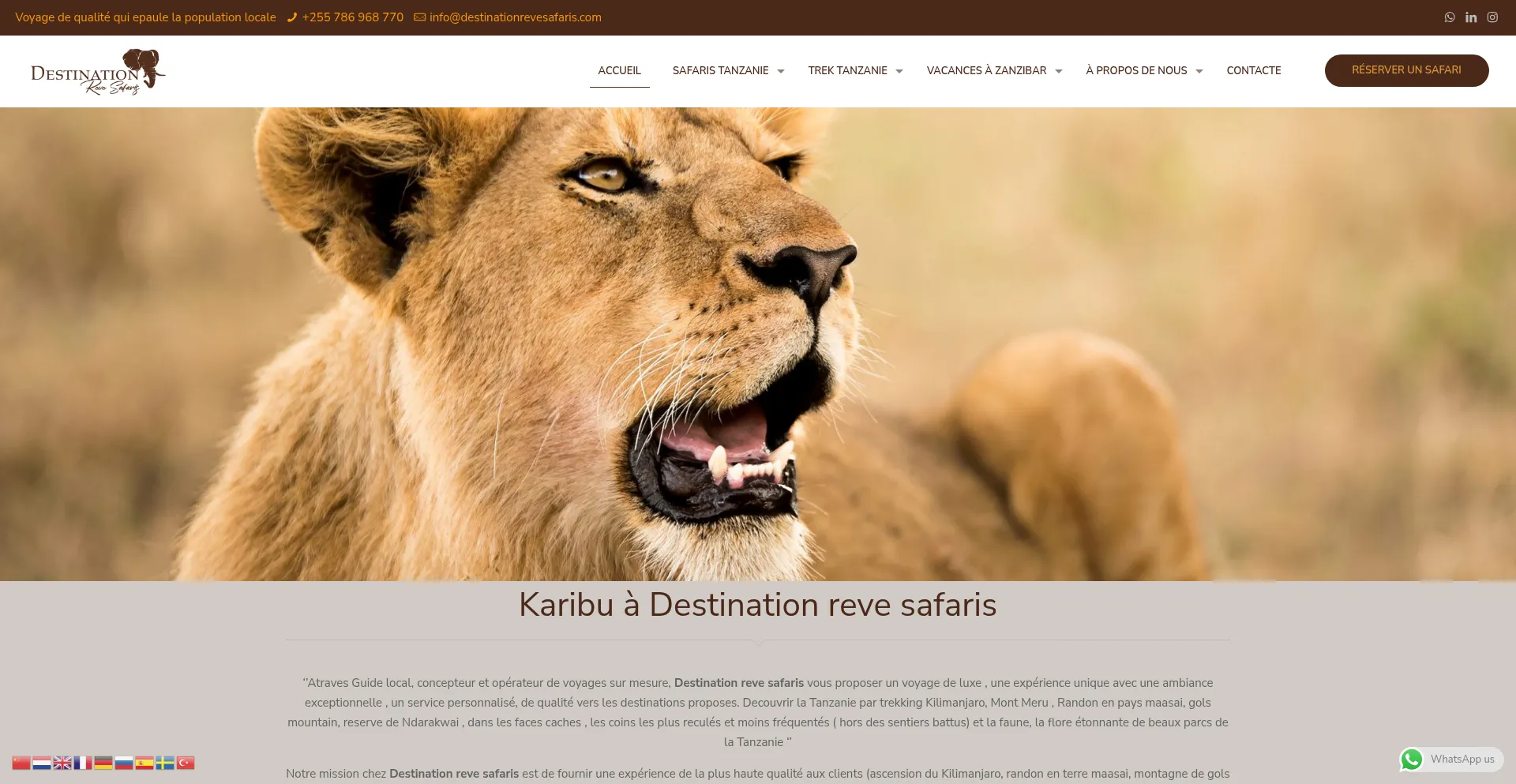 Website screenshot of Destinationrevesafaris.com