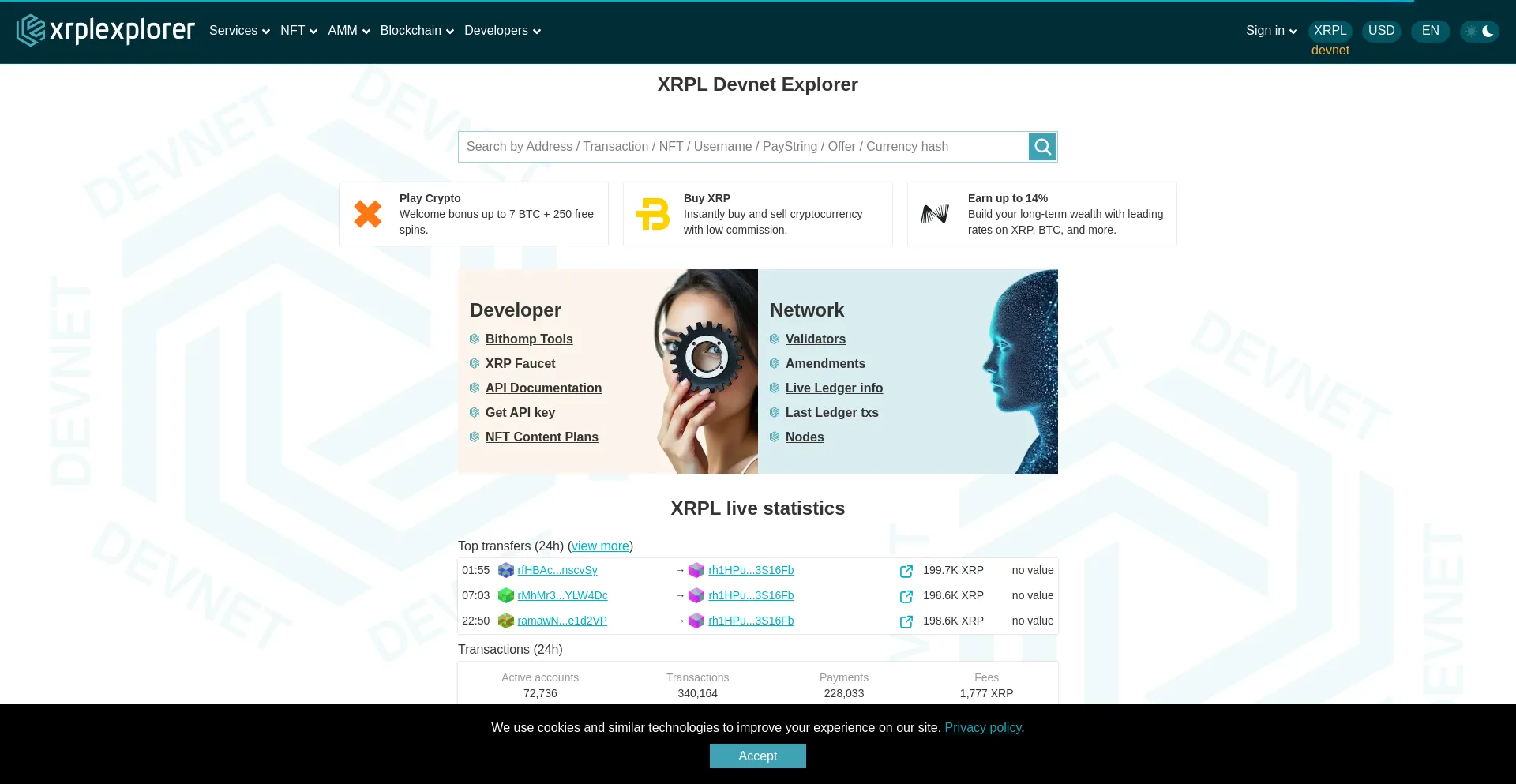 Dev.xrplexplorer.com
