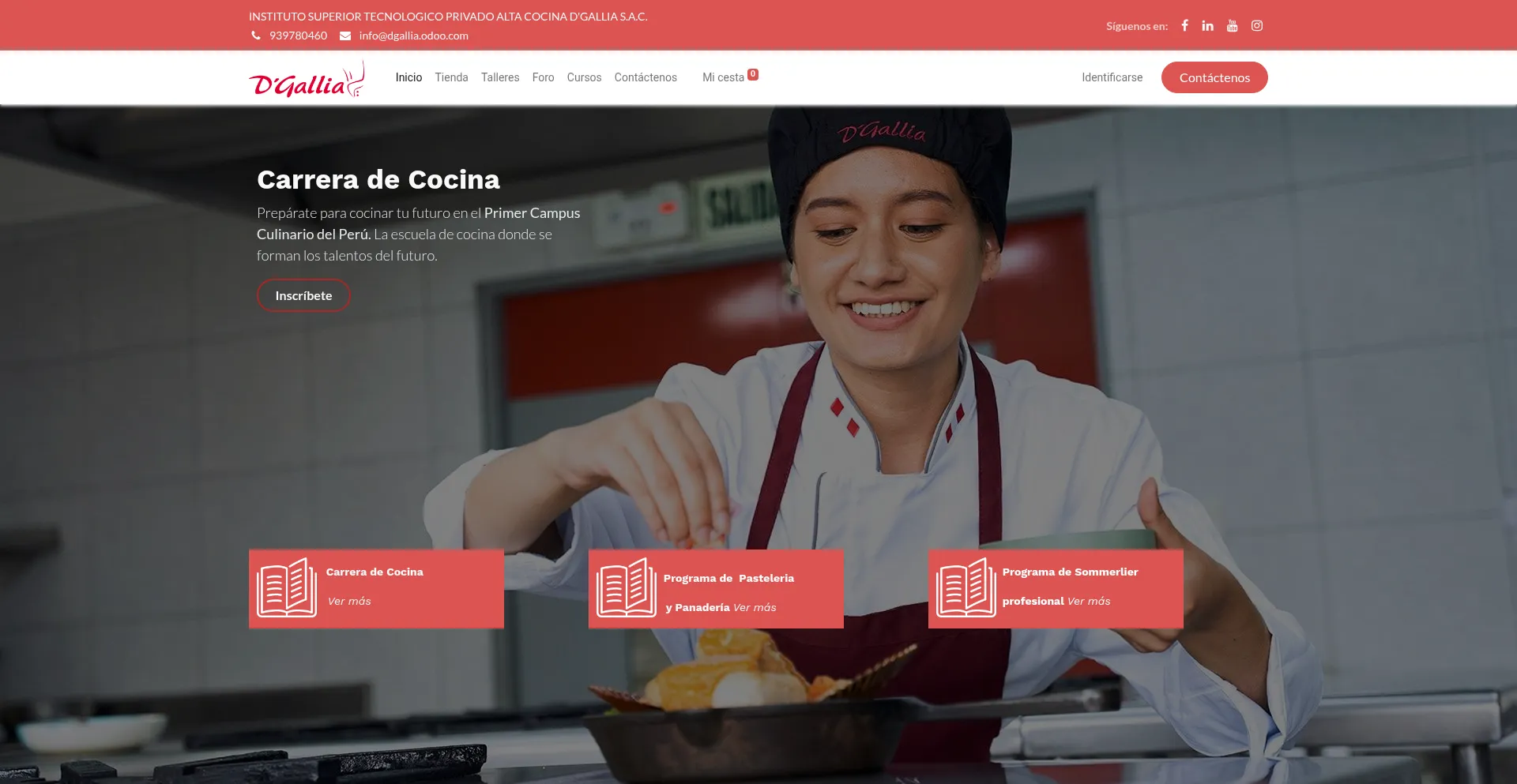 Dgallia.odoo.com