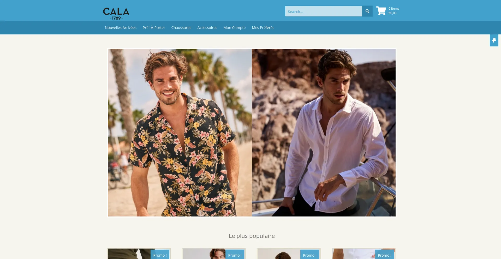 Website screenshot of Dianamobley.shop