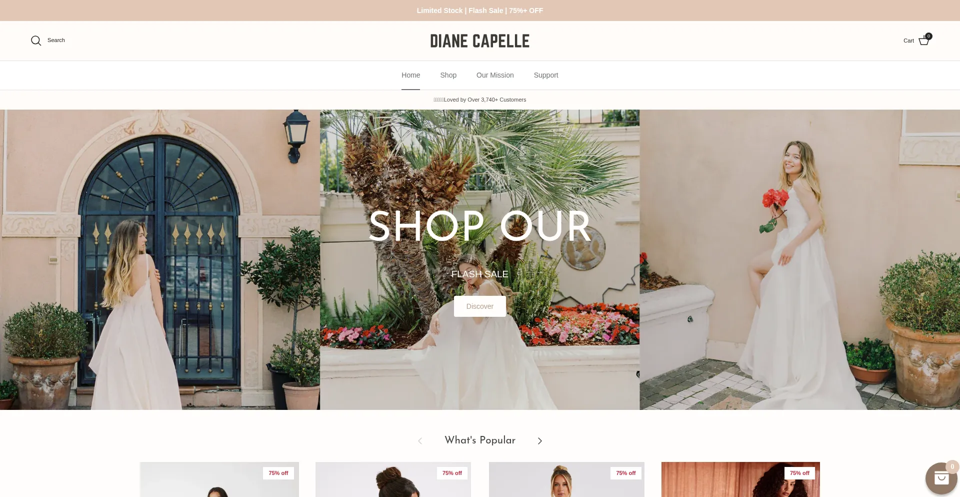 Website screenshot of Dianecapelle.com