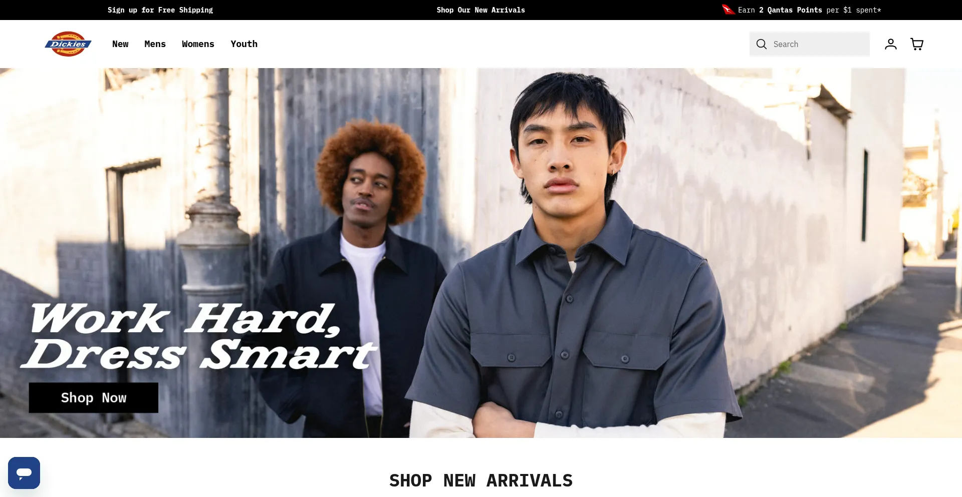 Website screenshot of Dickiesanz.com