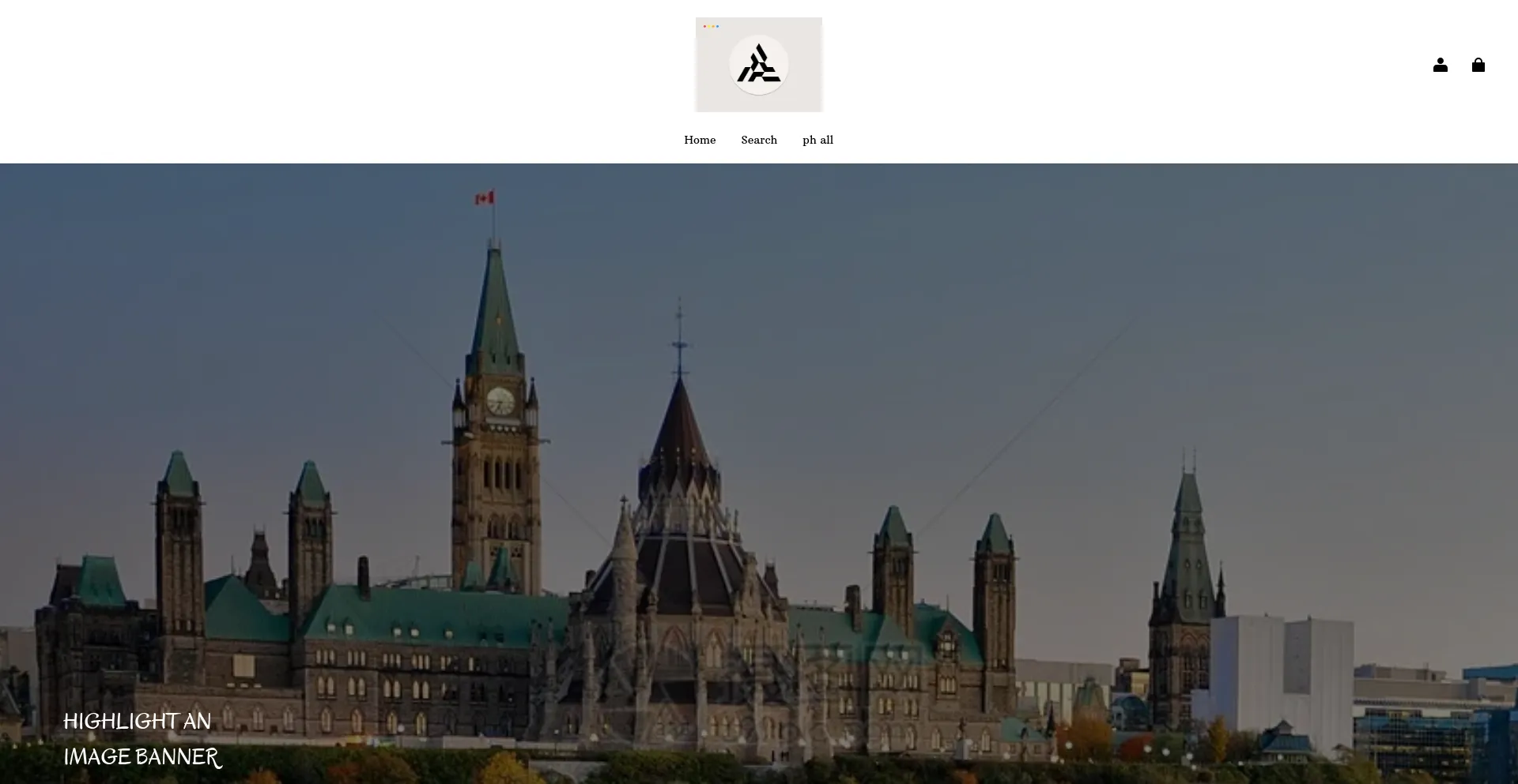 Website screenshot of Dickssportingsale.com