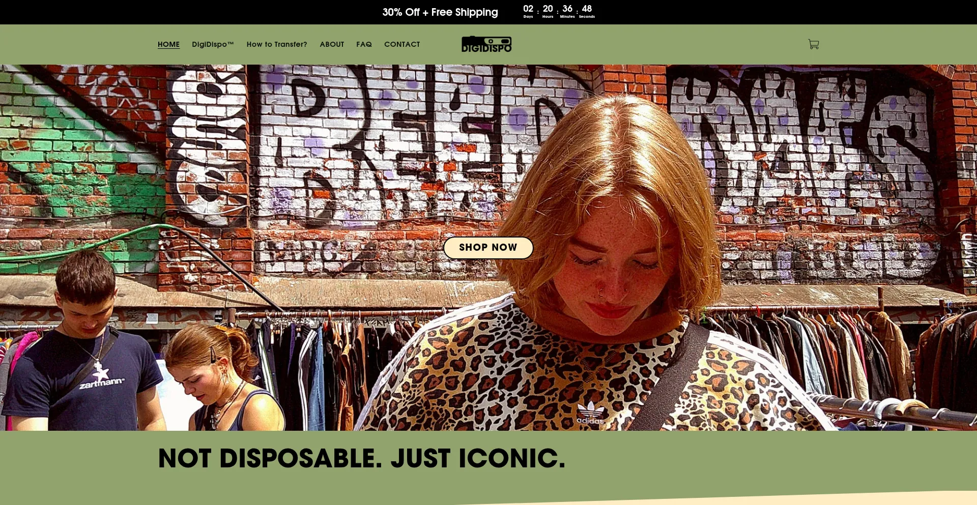Website screenshot of Digidispo.shop
