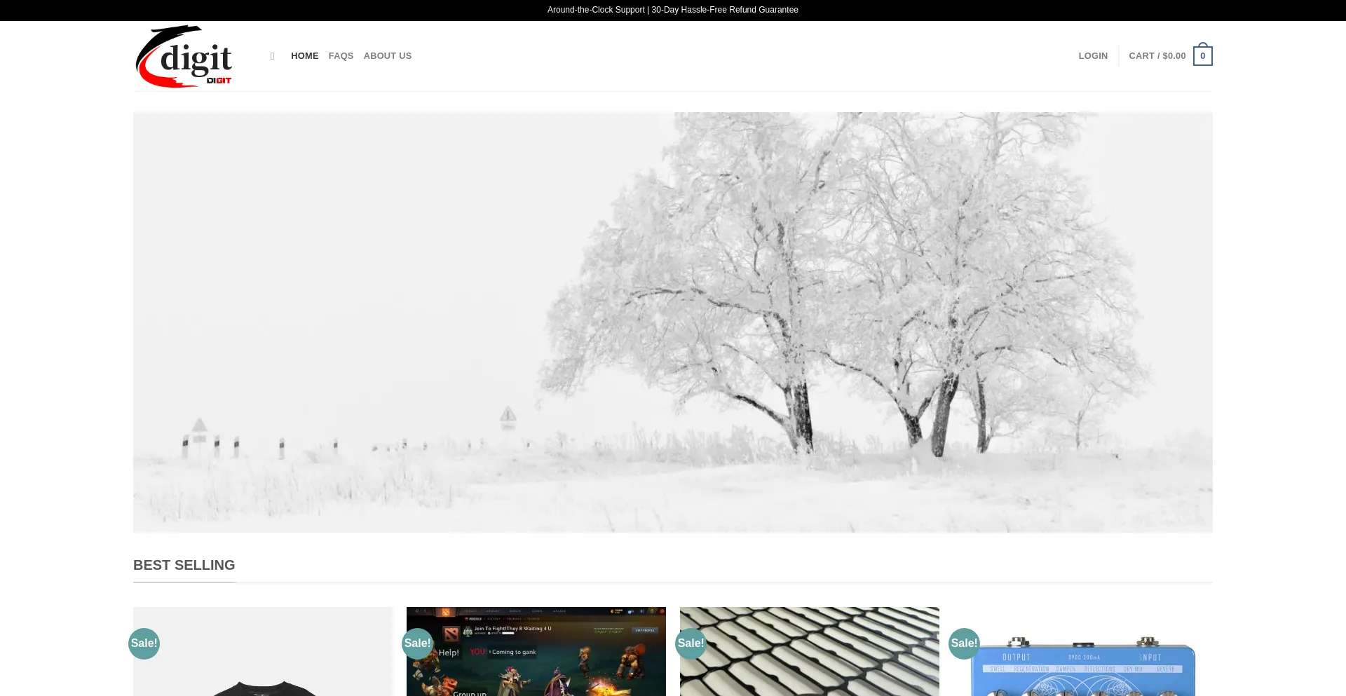 Website screenshot of Digitalgadgetrys.com