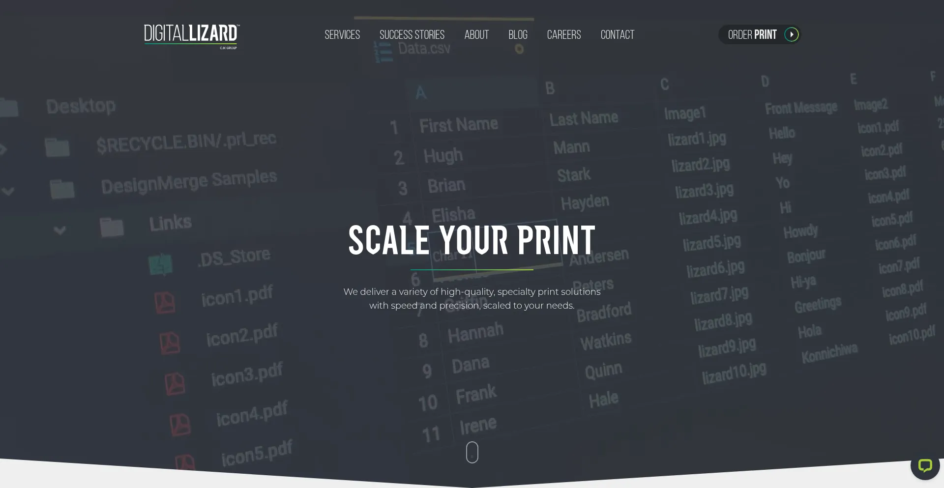 Website screenshot of Digitallizard.com