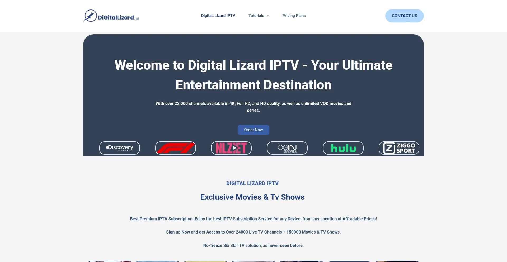 Digitallizardiptv.net