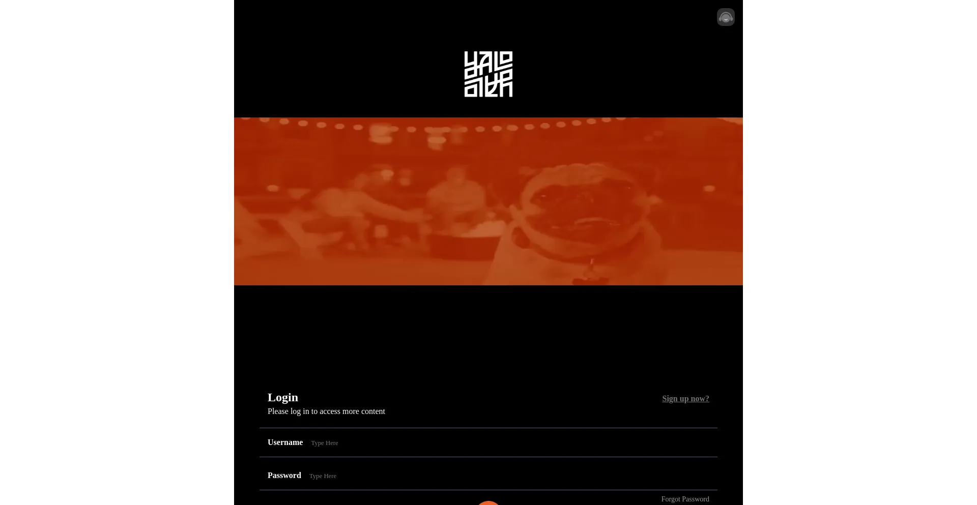 Website screenshot of Digitalyalo.cc