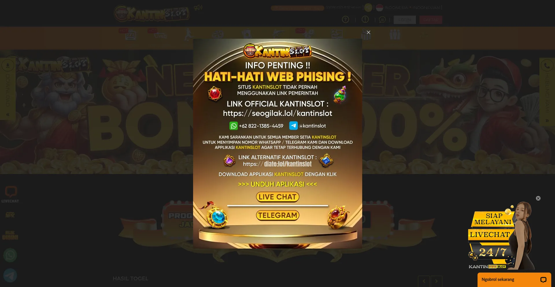 Website screenshot of Digizom.com