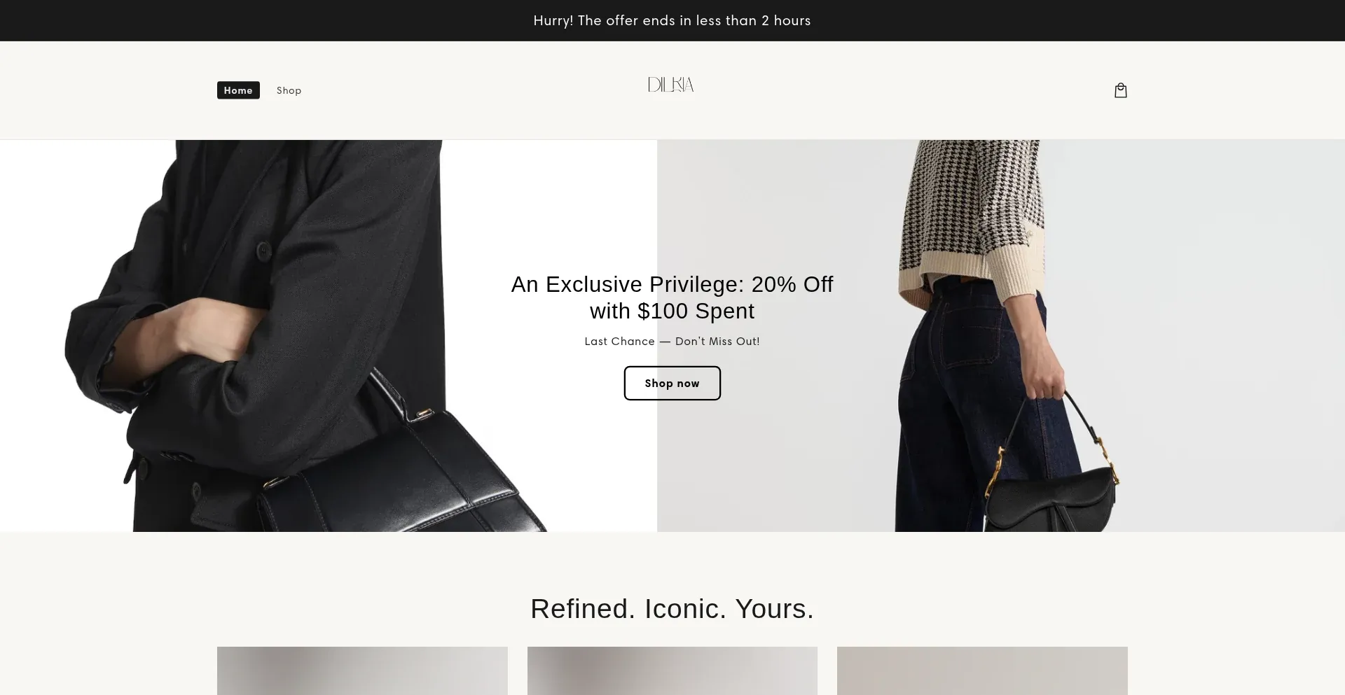 Website screenshot of Dilria.com