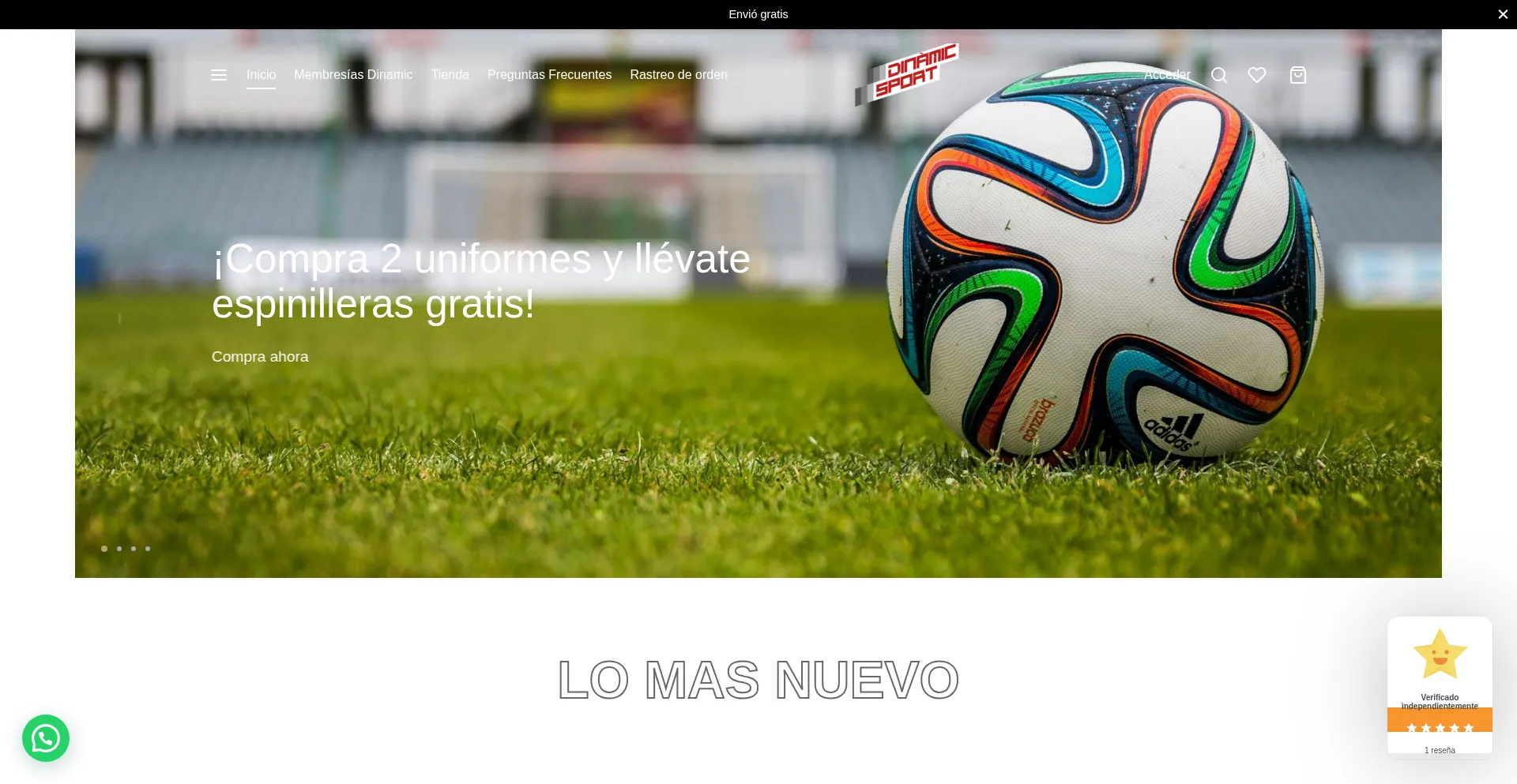 Website screenshot of Dinamicsport.com