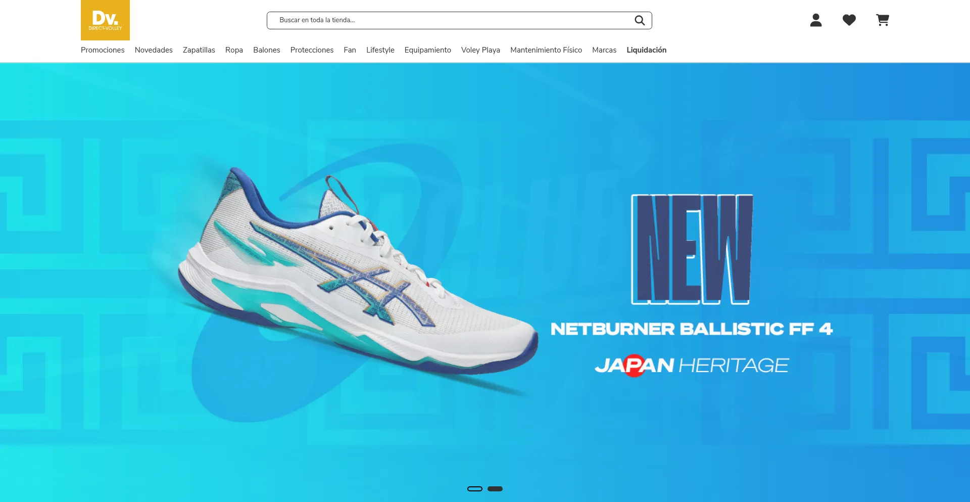 Website screenshot of Direct-volley.es
