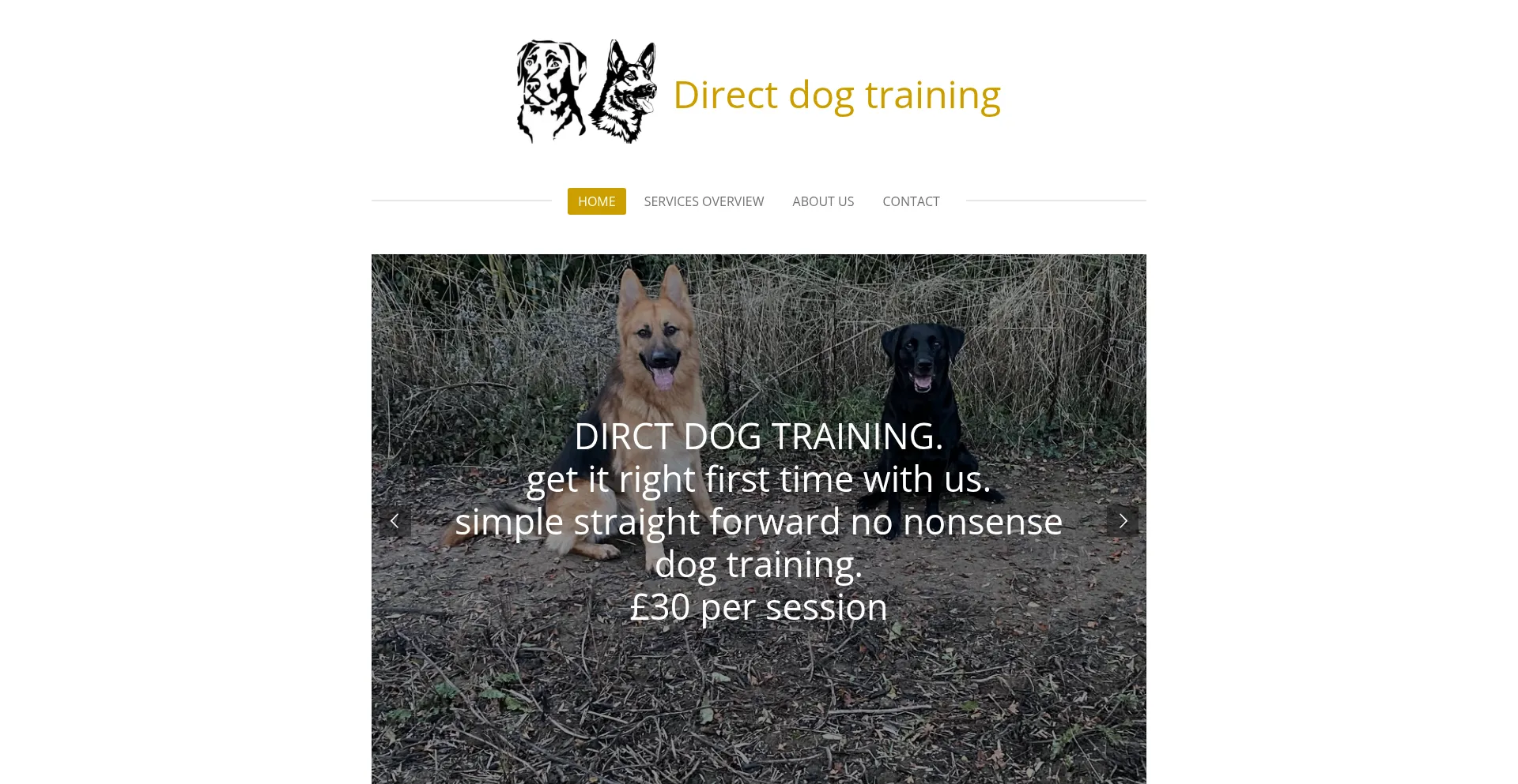 Website screenshot of Directdogtraining.com