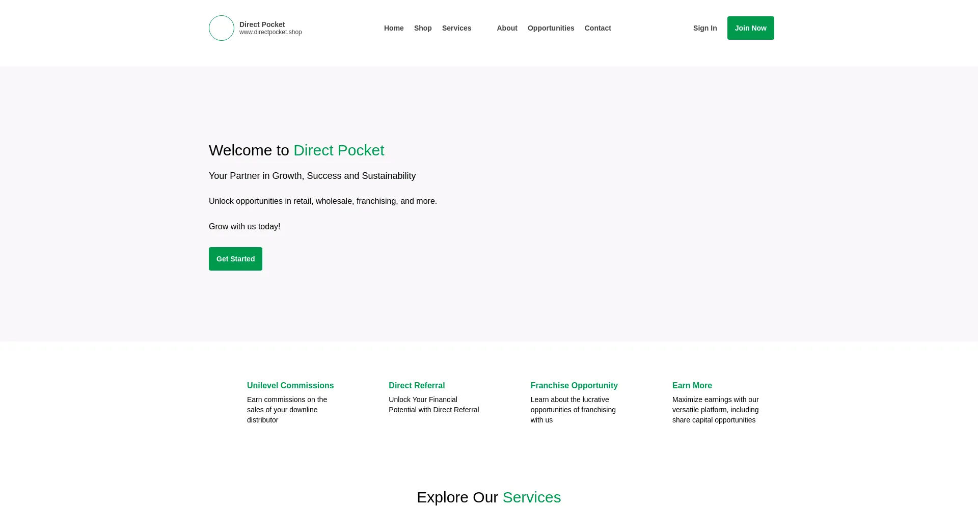 Website screenshot of Directpocket.shop