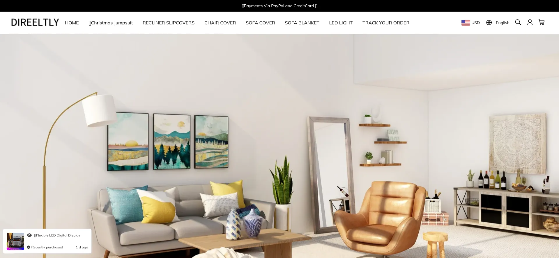 Website screenshot of Direeltly.com