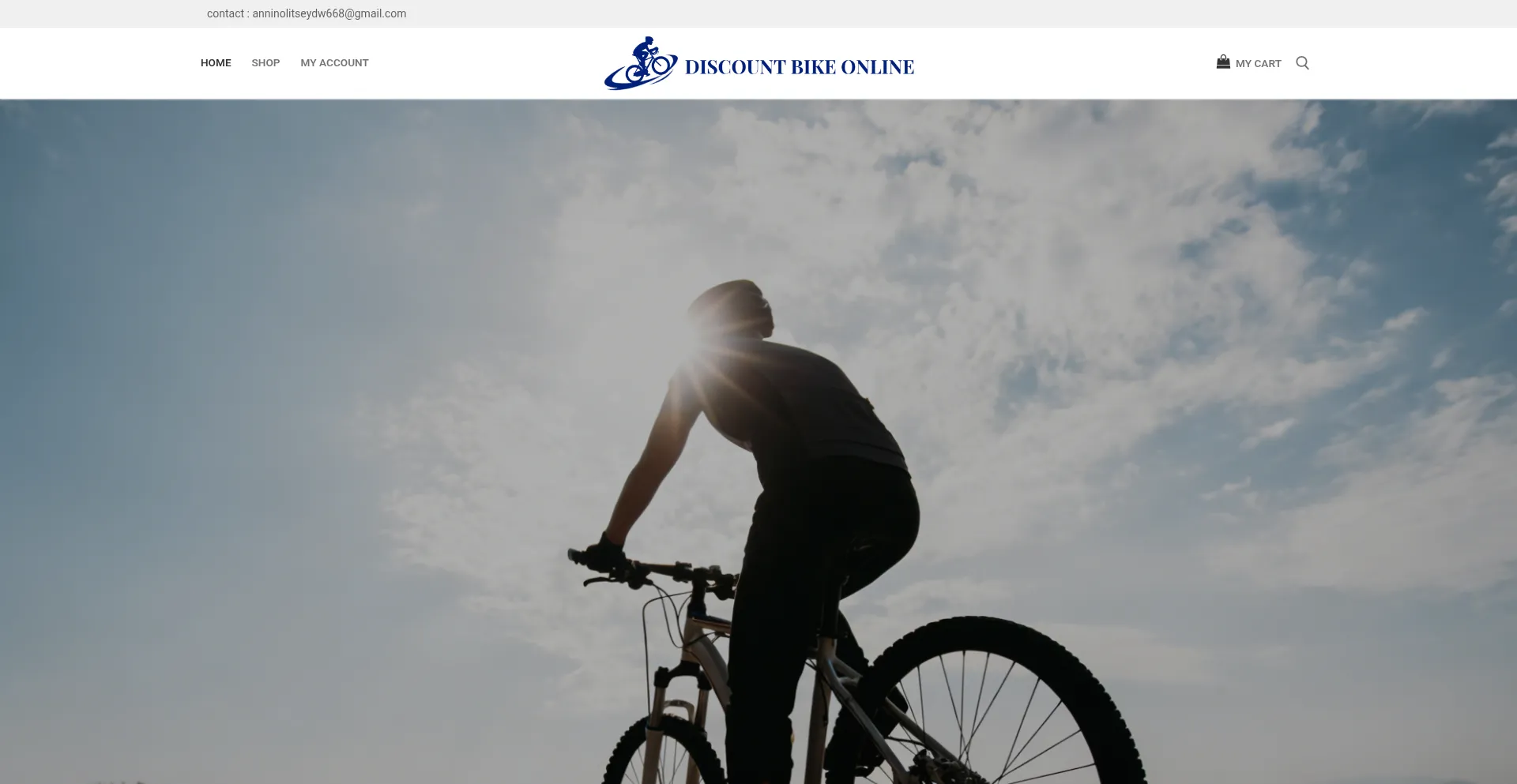 Discountbikeonline.com