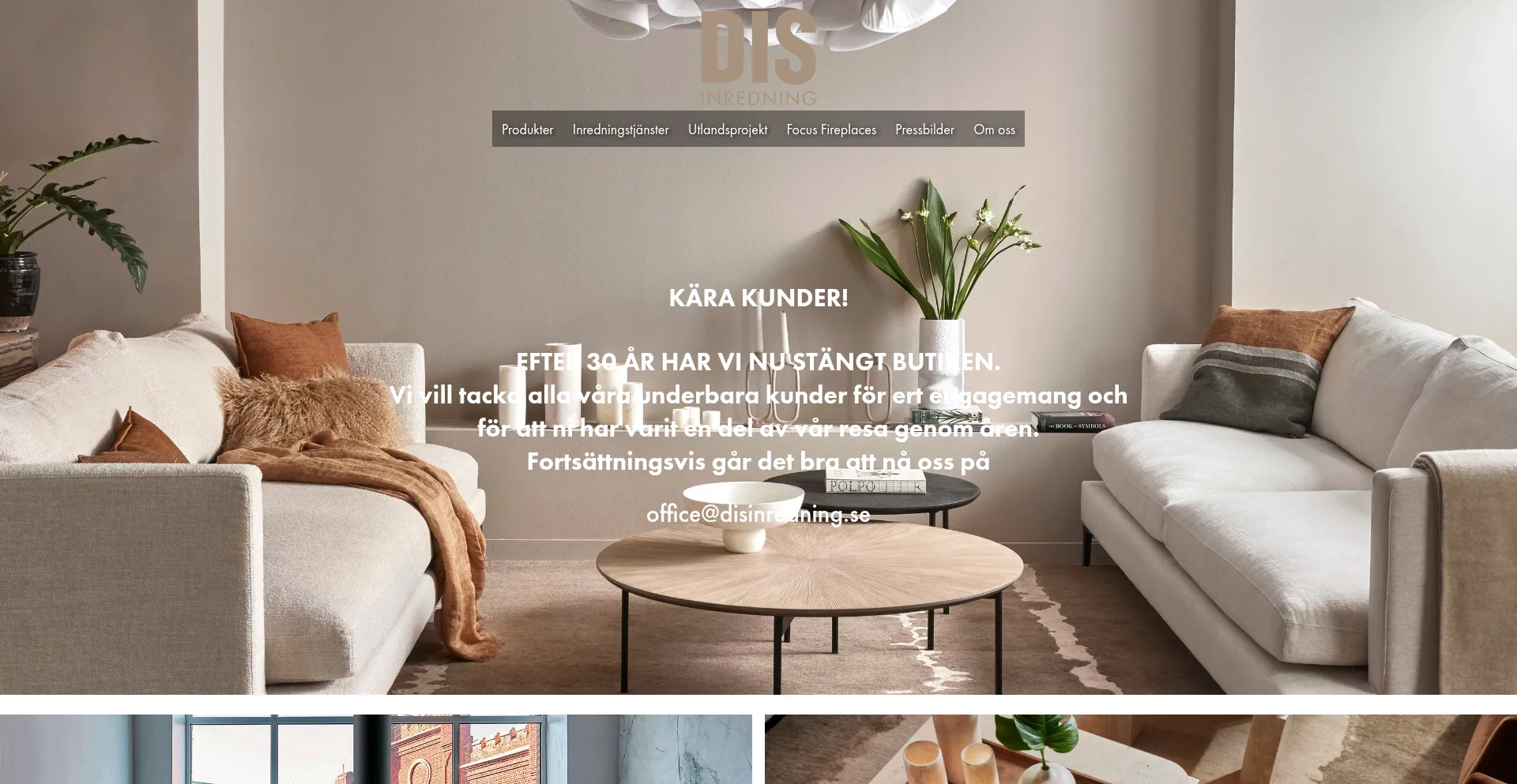 Website screenshot of Disinredning.se