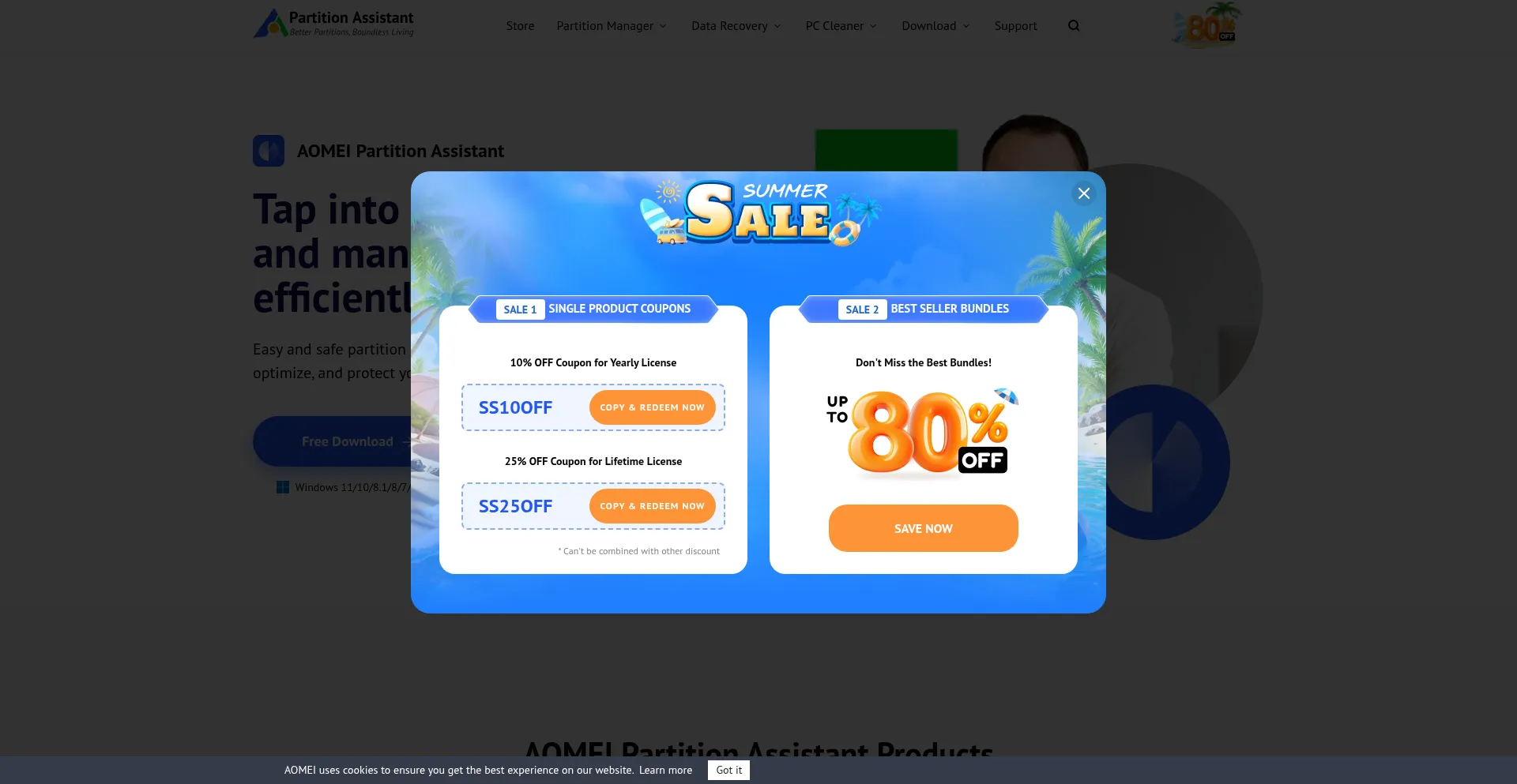 Website screenshot of Diskpart.com