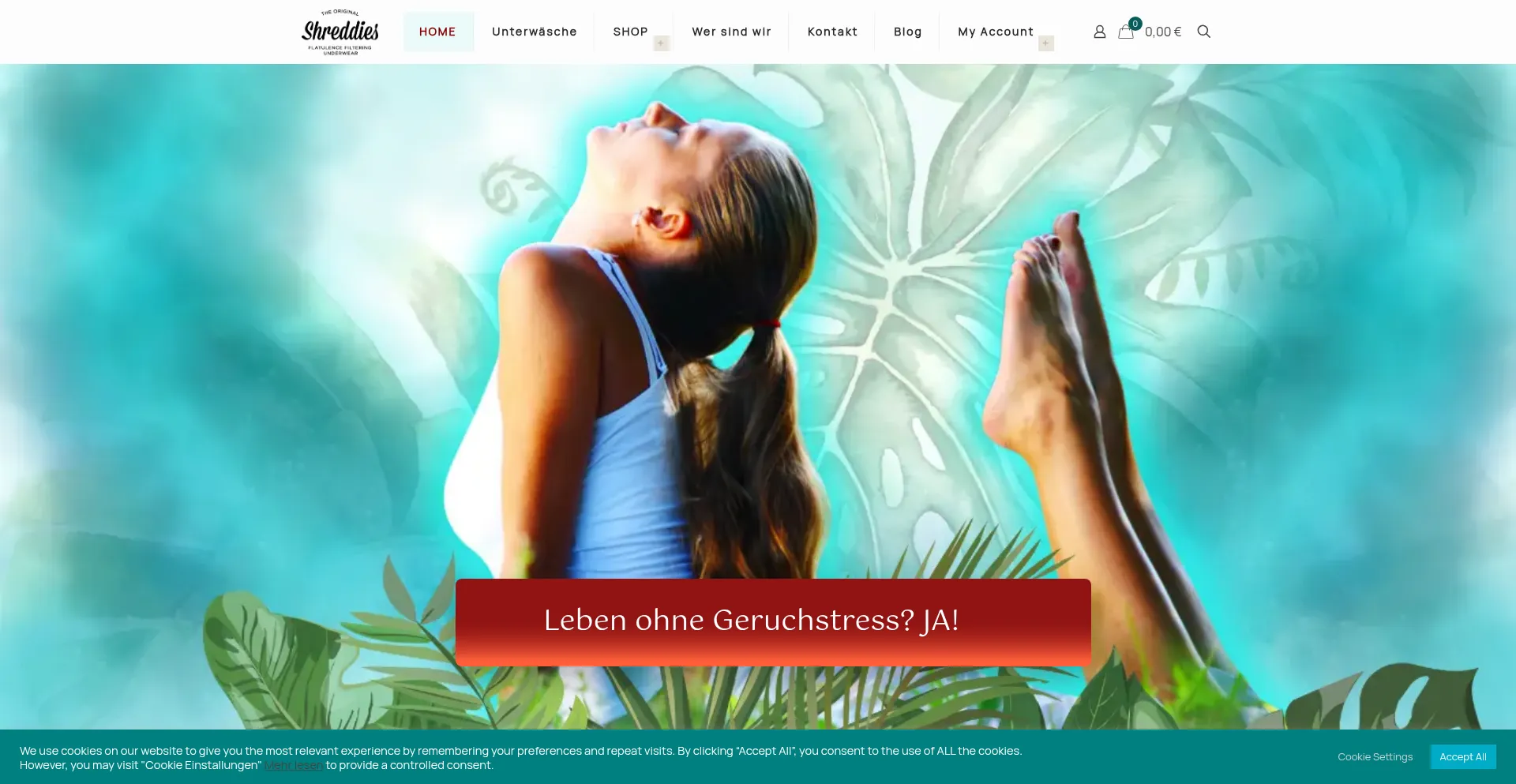 Website screenshot of Diskretewinde.com