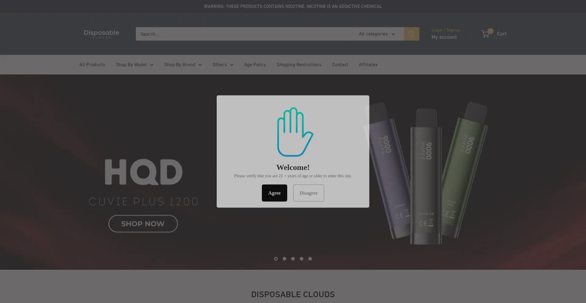 Website screenshot of Disposableclouds305.com