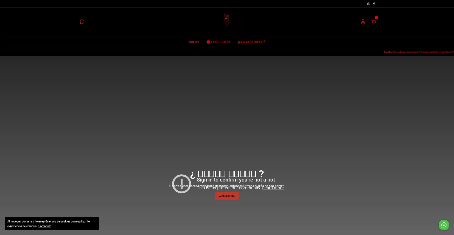 Website screenshot of Ditrens.com.ar