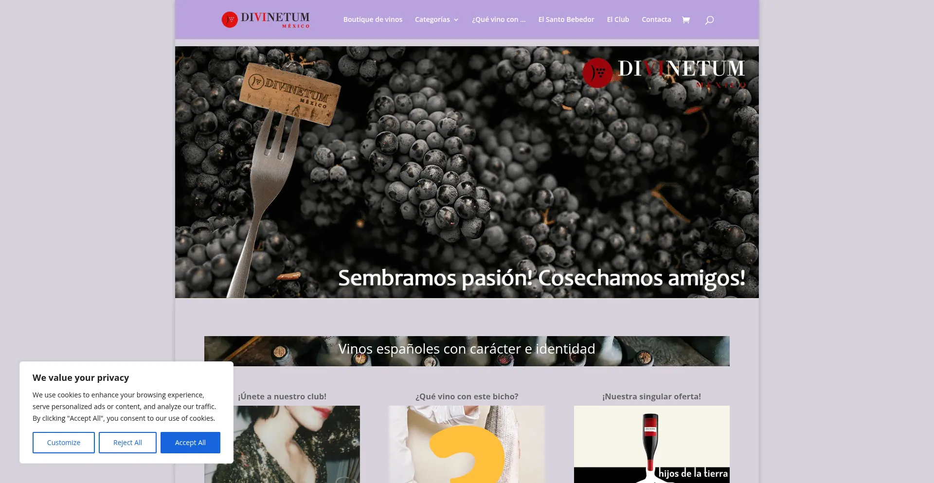 Website screenshot of Divinetummexico.com