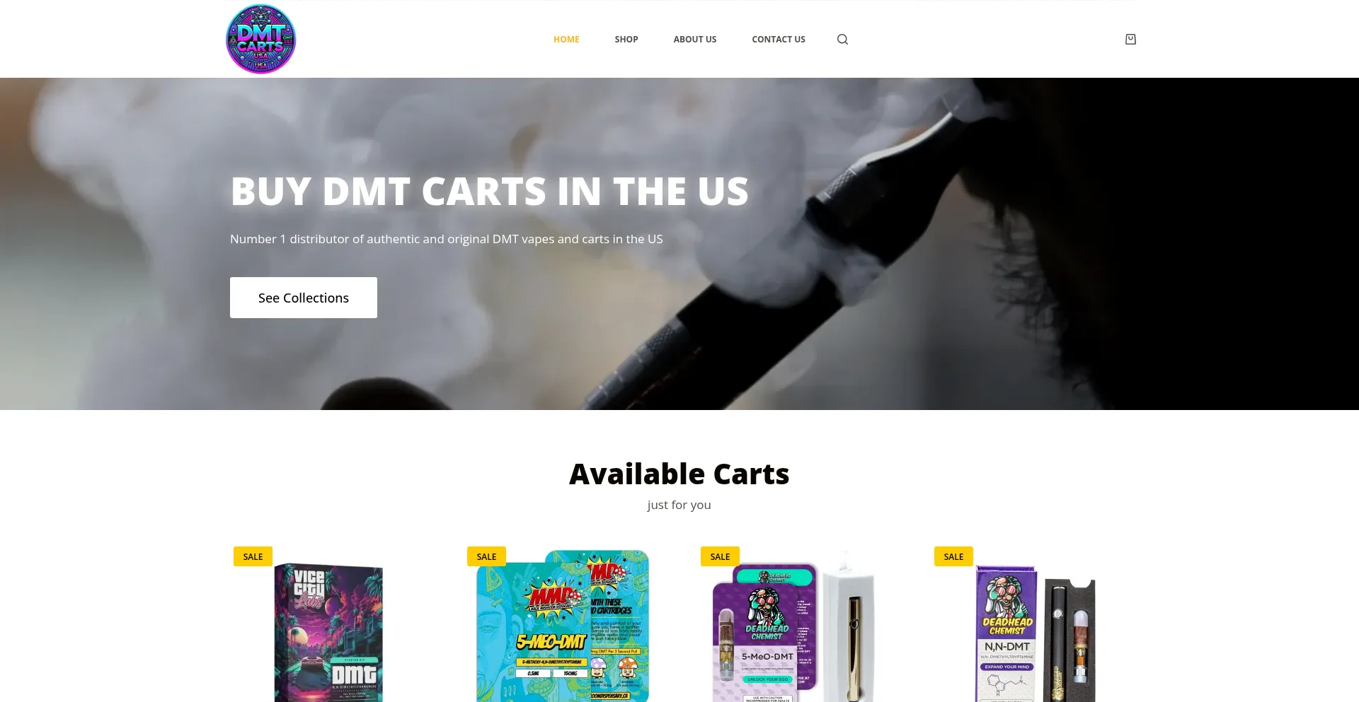 Website screenshot of Dmtcartsusa.com