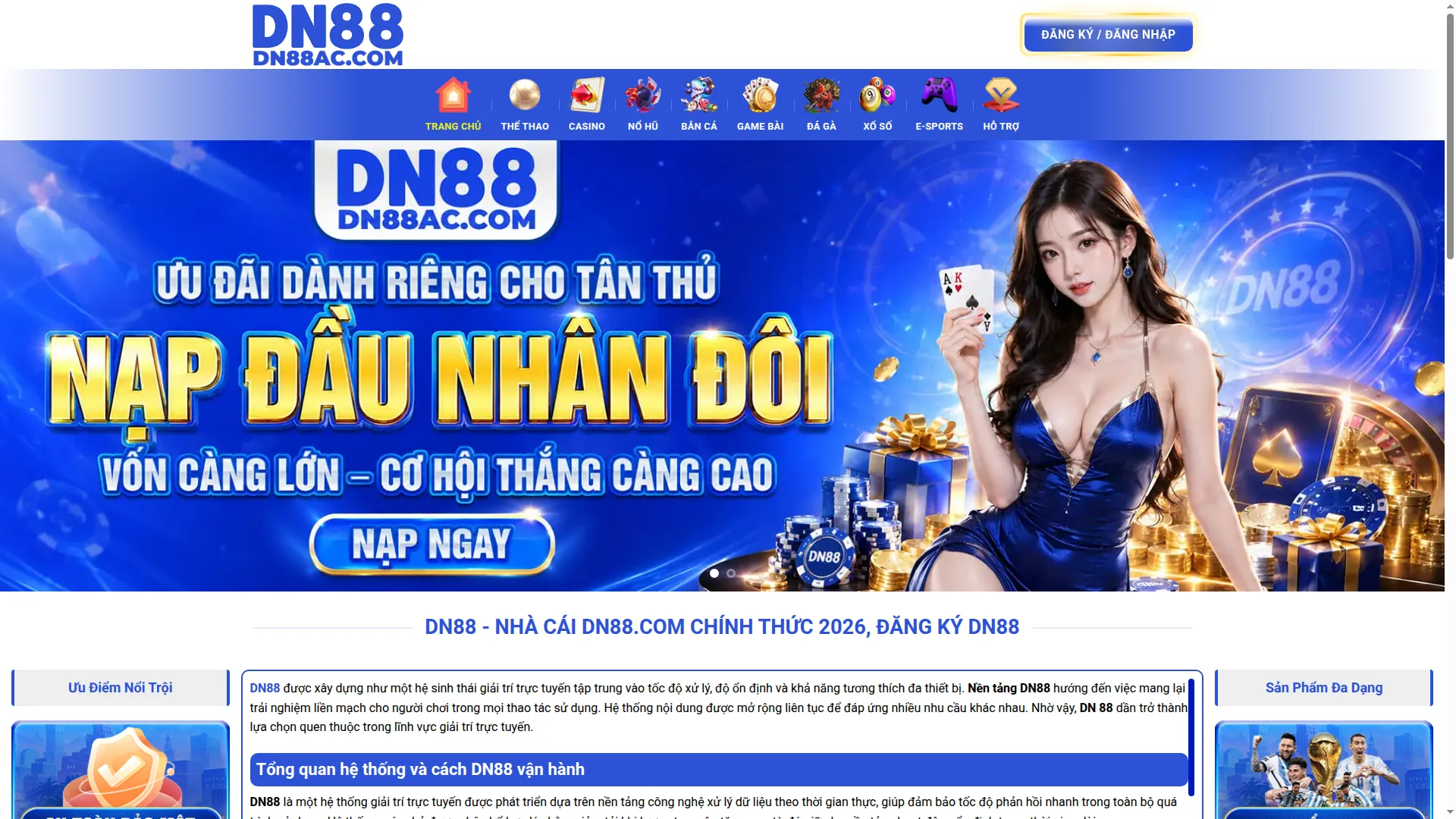 Dn8802.com