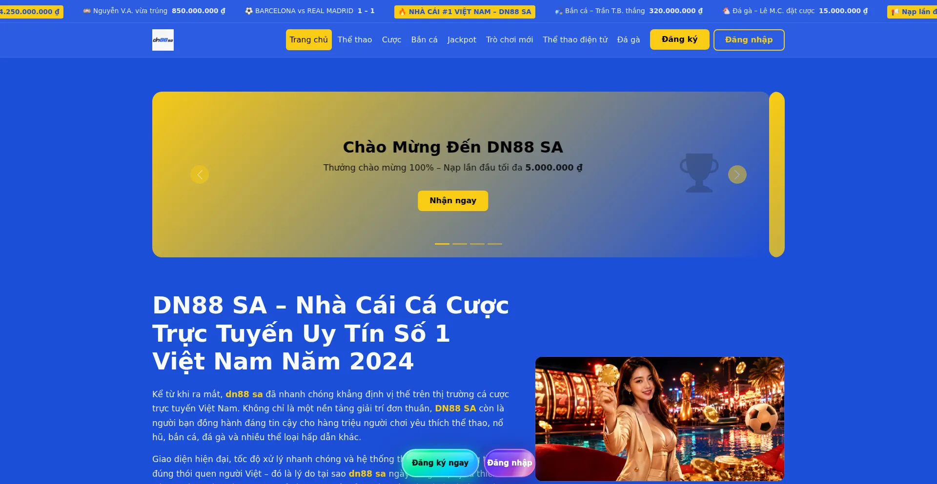 Dn88sa.com