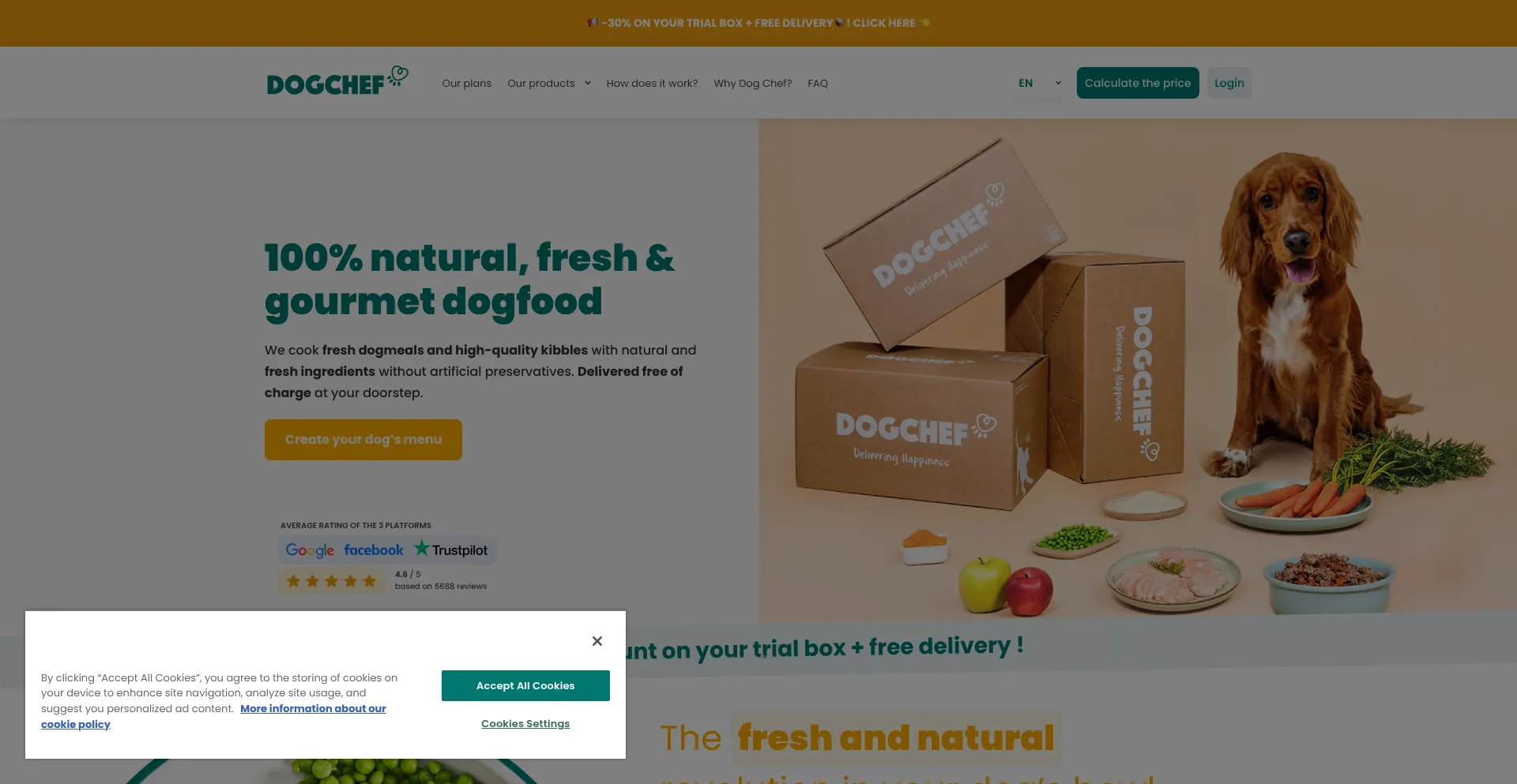Dogchef.com