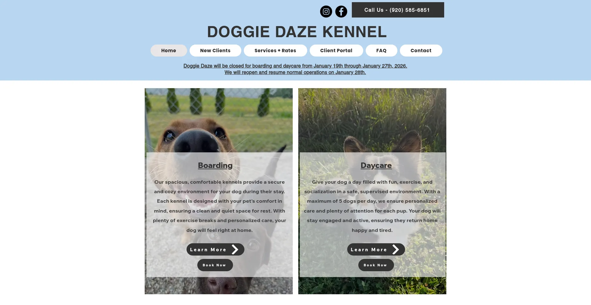 Website screenshot of Doggiedazekennel.com