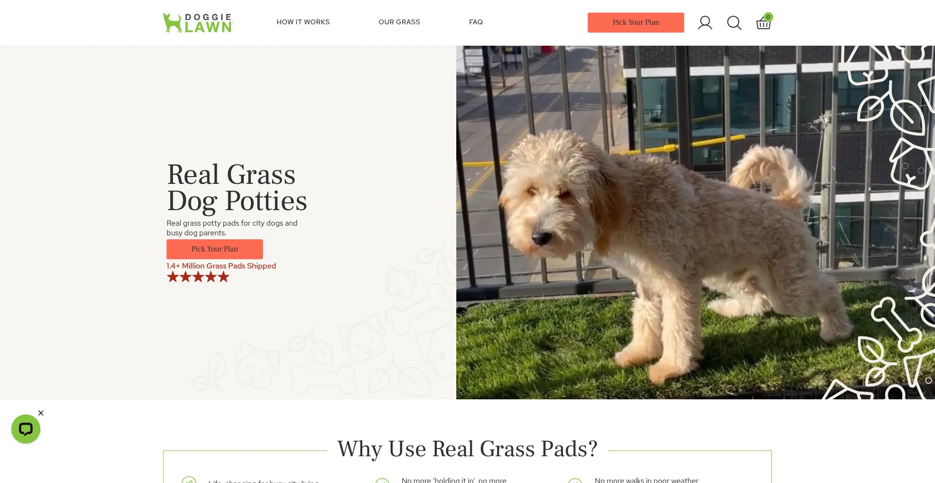 Doggielawn.com