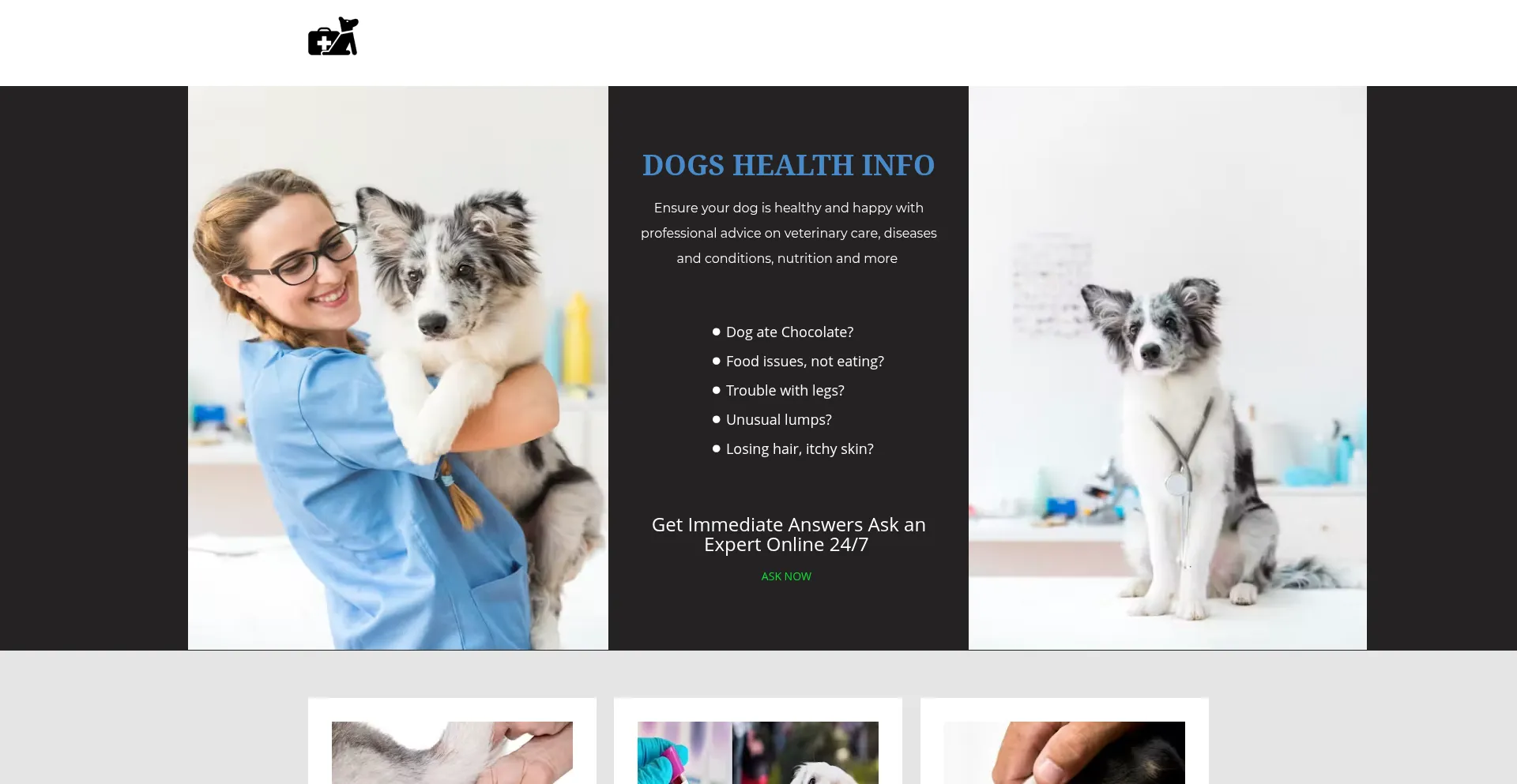 Dogshealthinfo.com