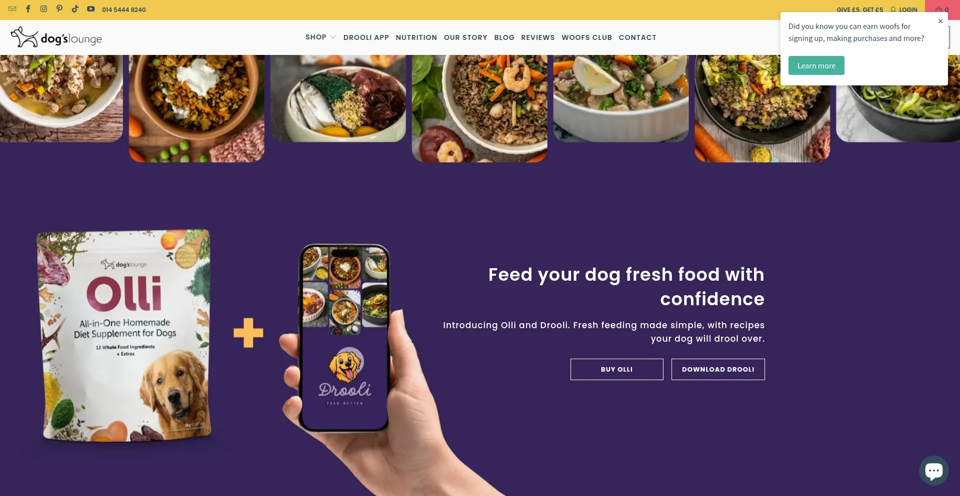 Dogslounge.co.uk