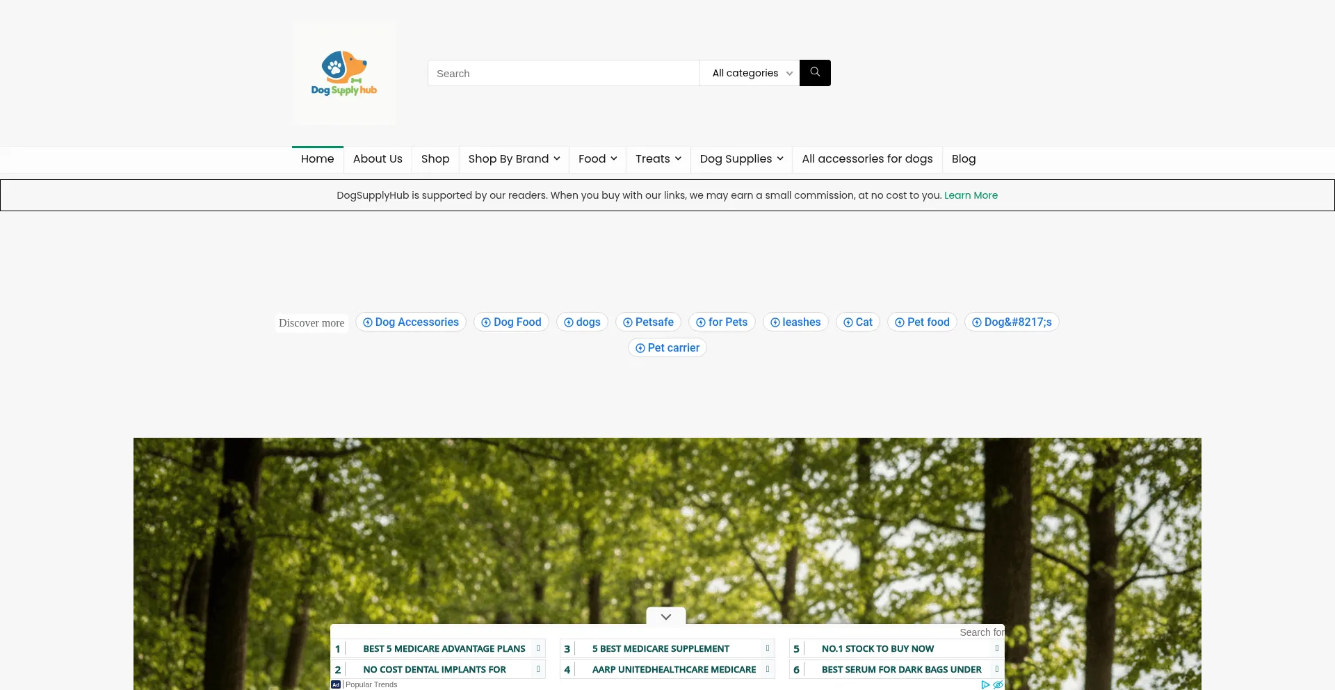 Dogsupplyhub.com