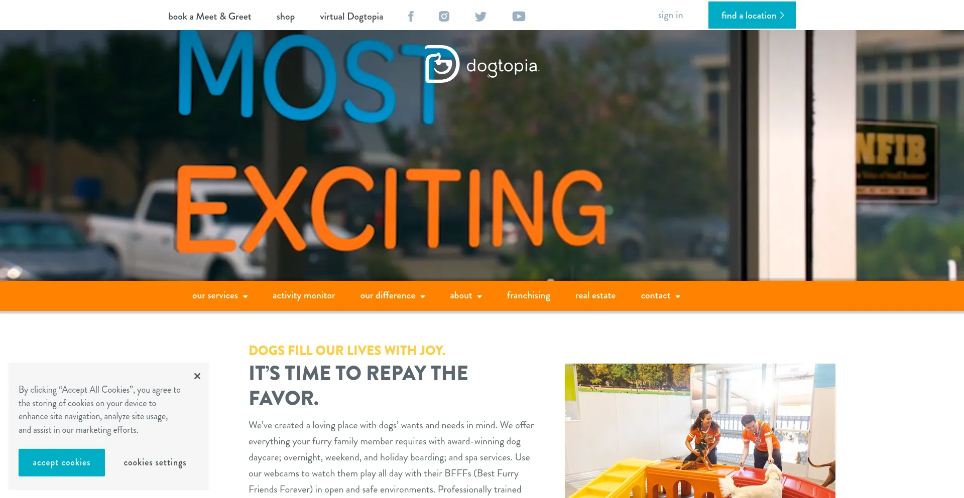 Dogtopia.com