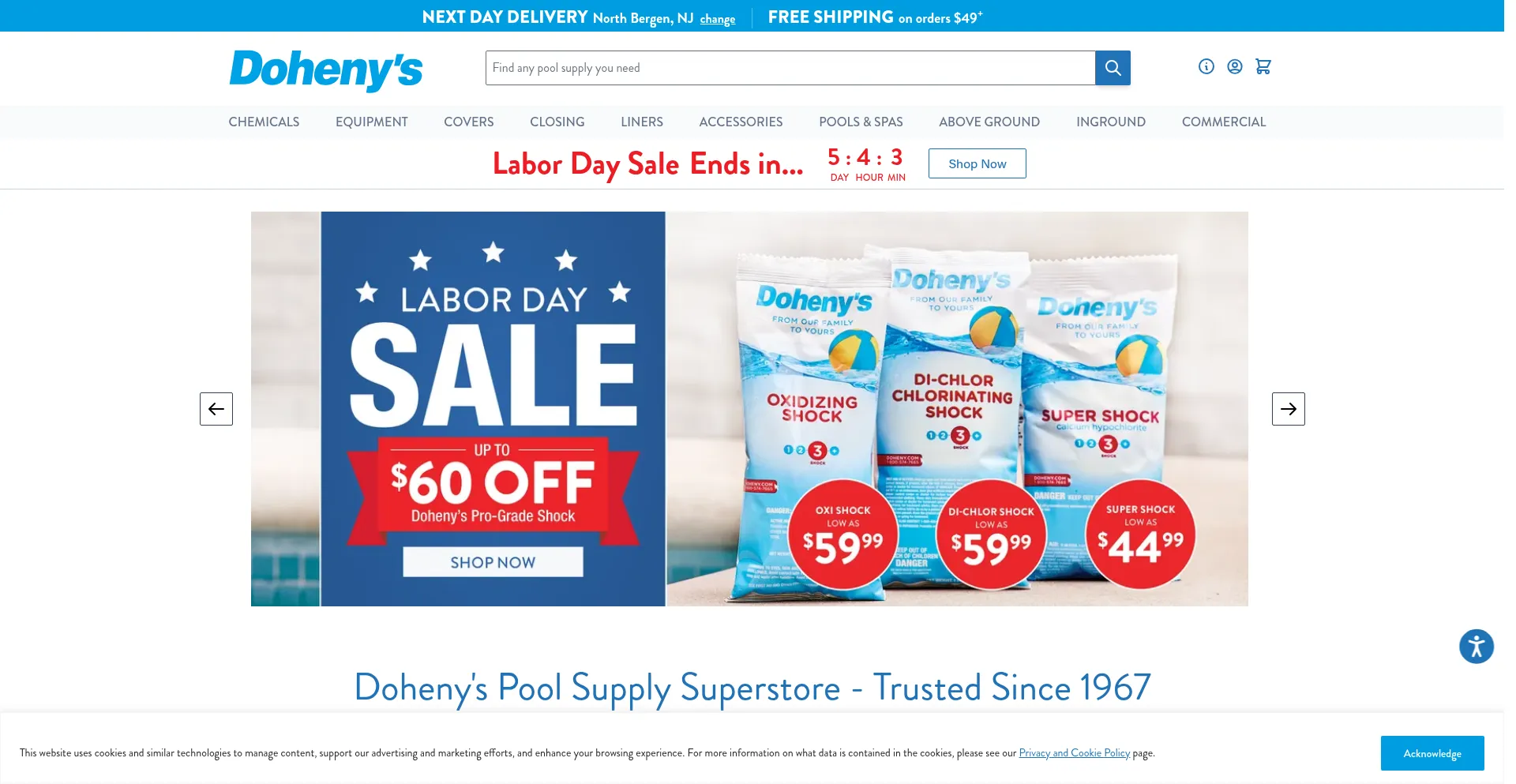 Website screenshot of Doheny.com