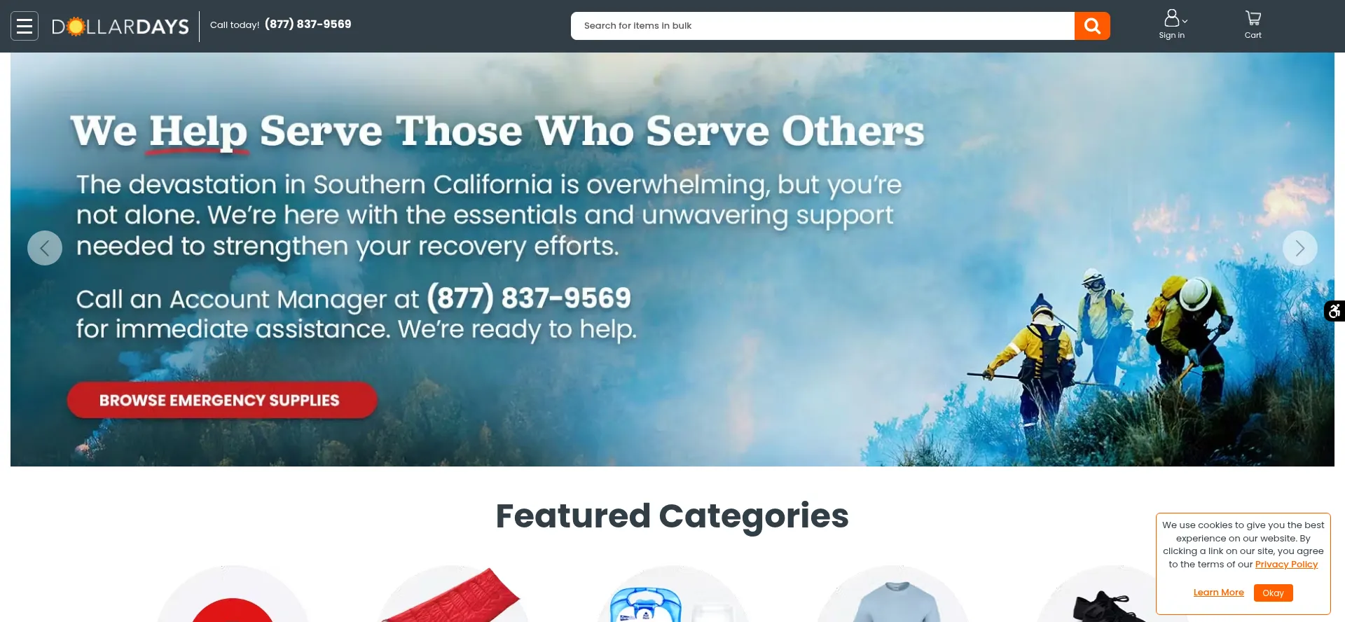 Website screenshot of Dollardays.com