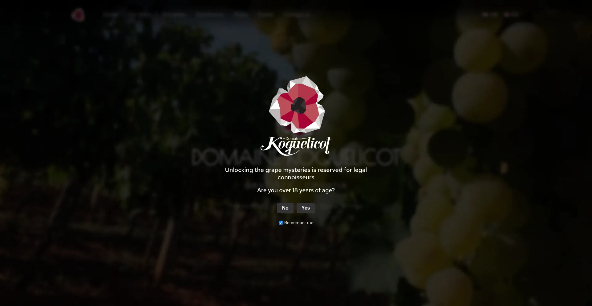Website screenshot of Domainekoquelicot.eu