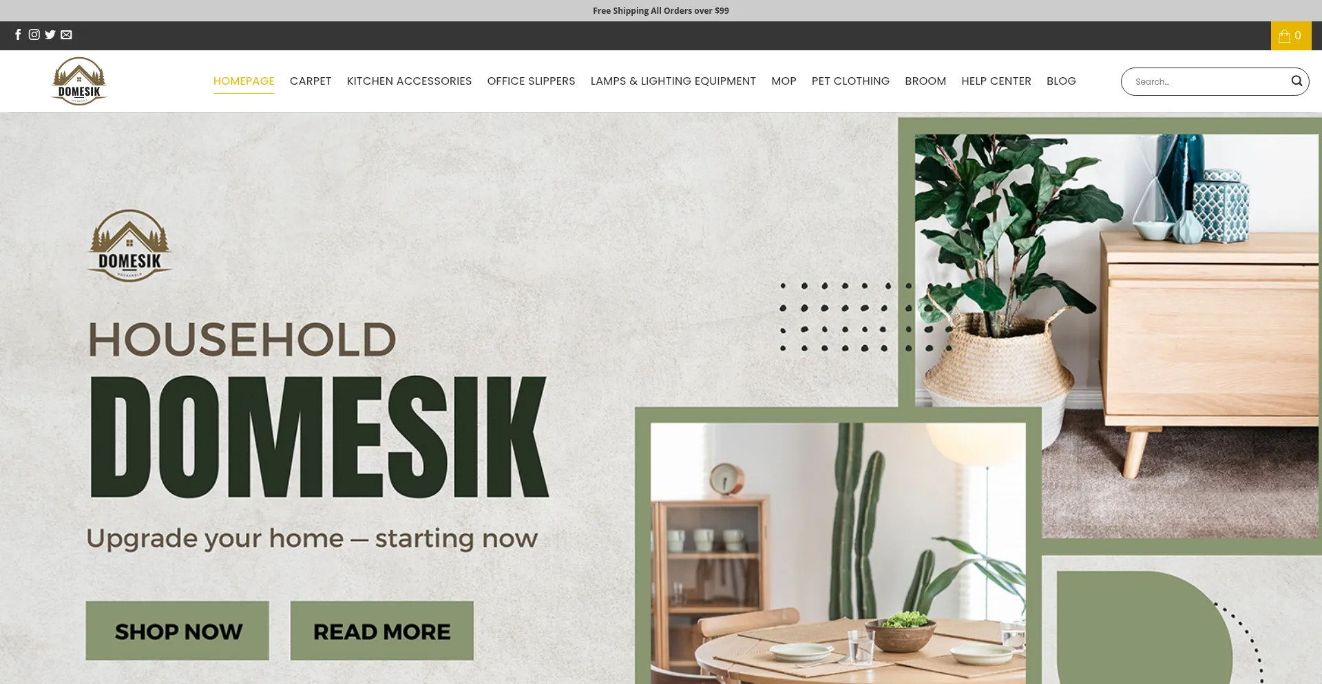 Website screenshot of Domesik.com